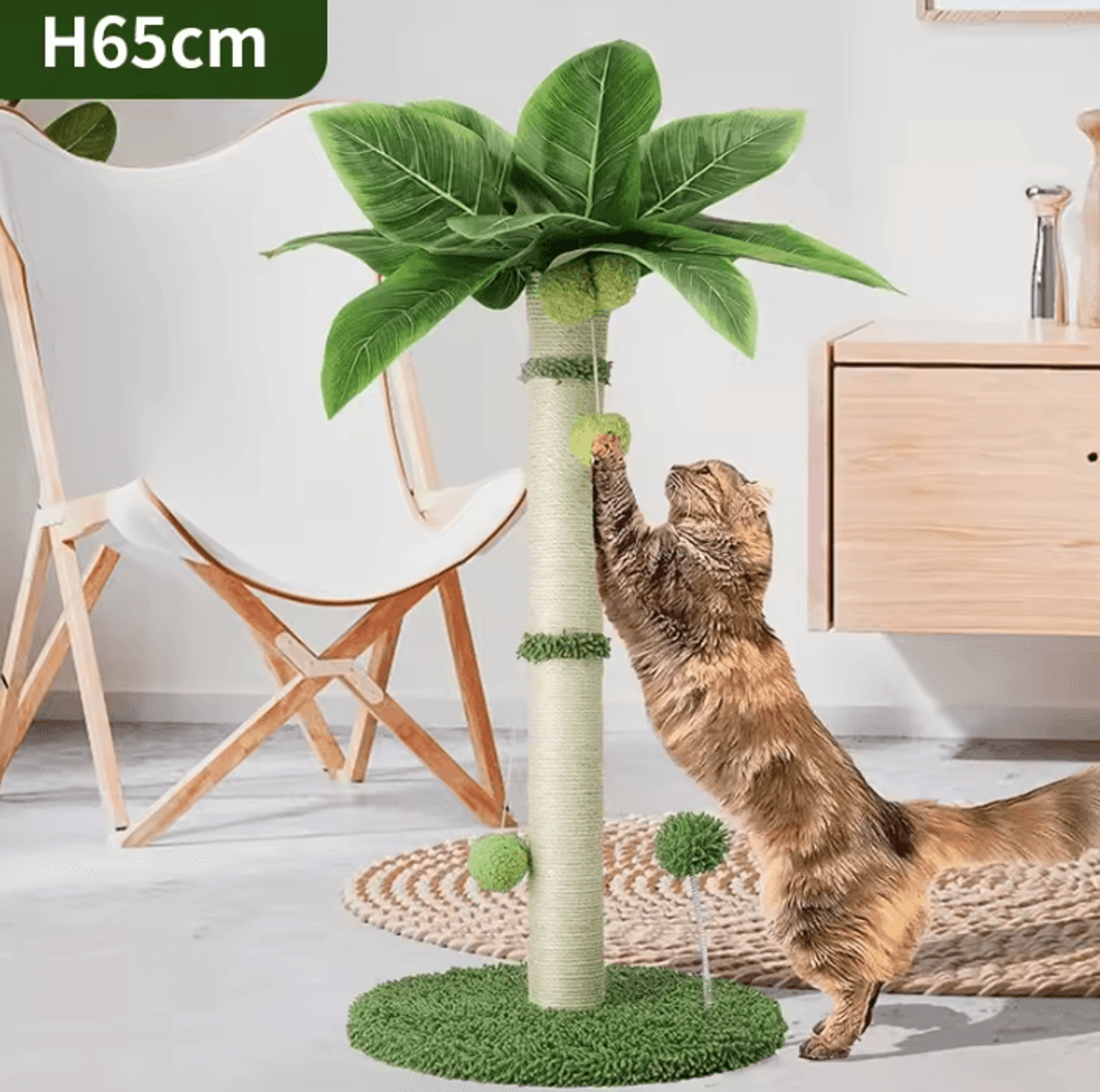 65cm cat scratching post tree with sisal rope & interactive ball toys