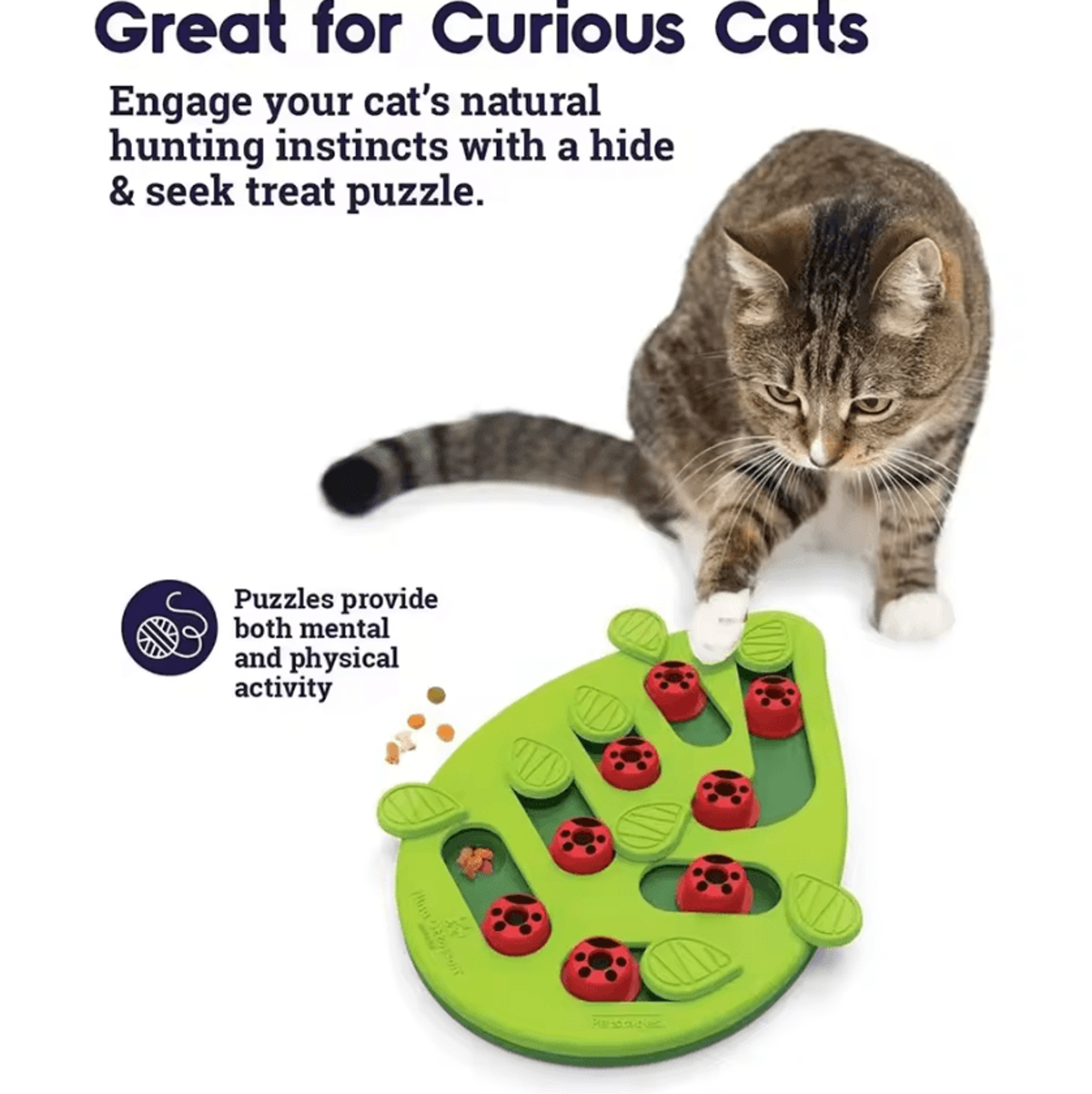 brainpaws interactive cat puzzle treat toy