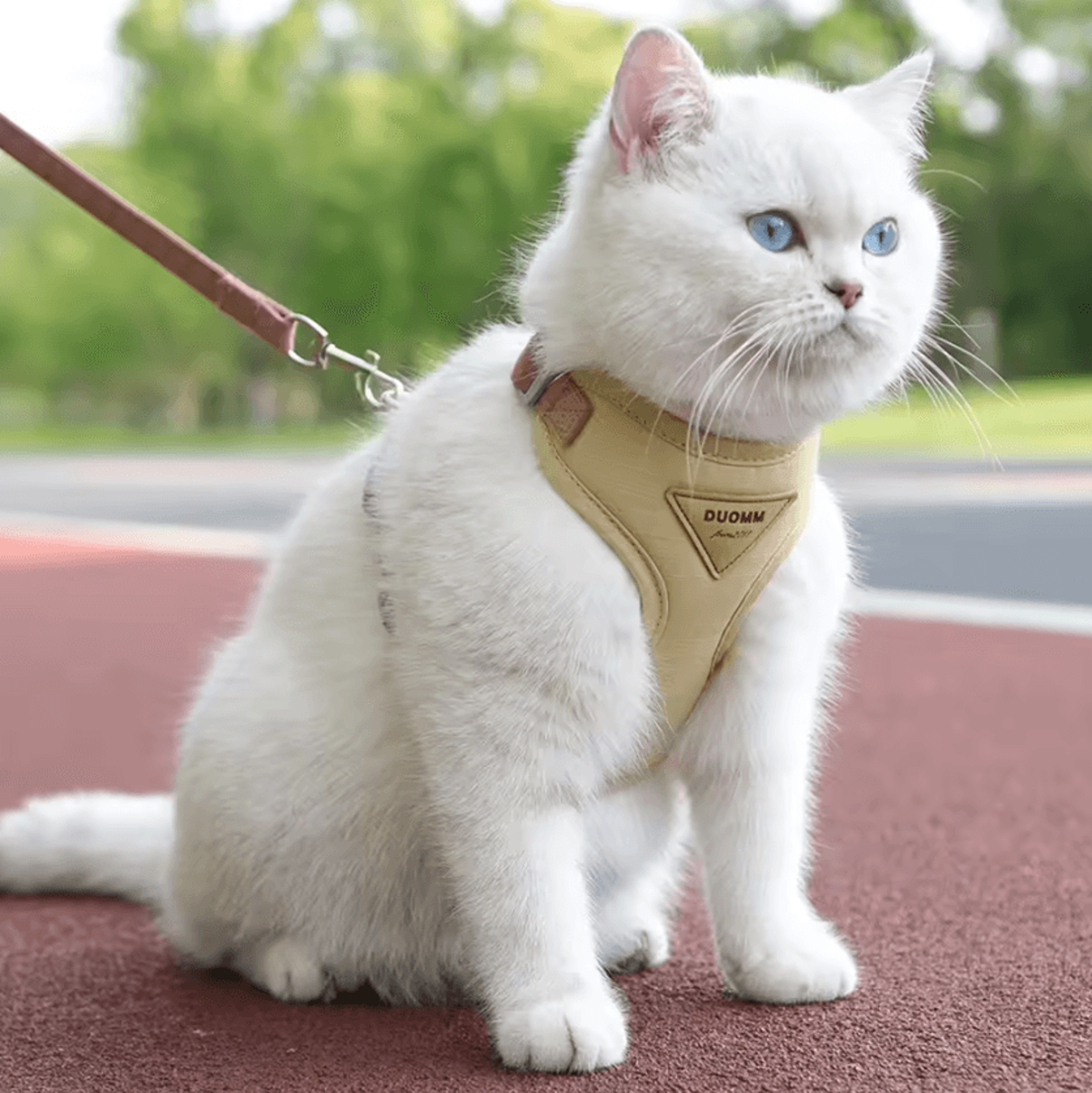 pawventures breathable cat & puppy harness leash set