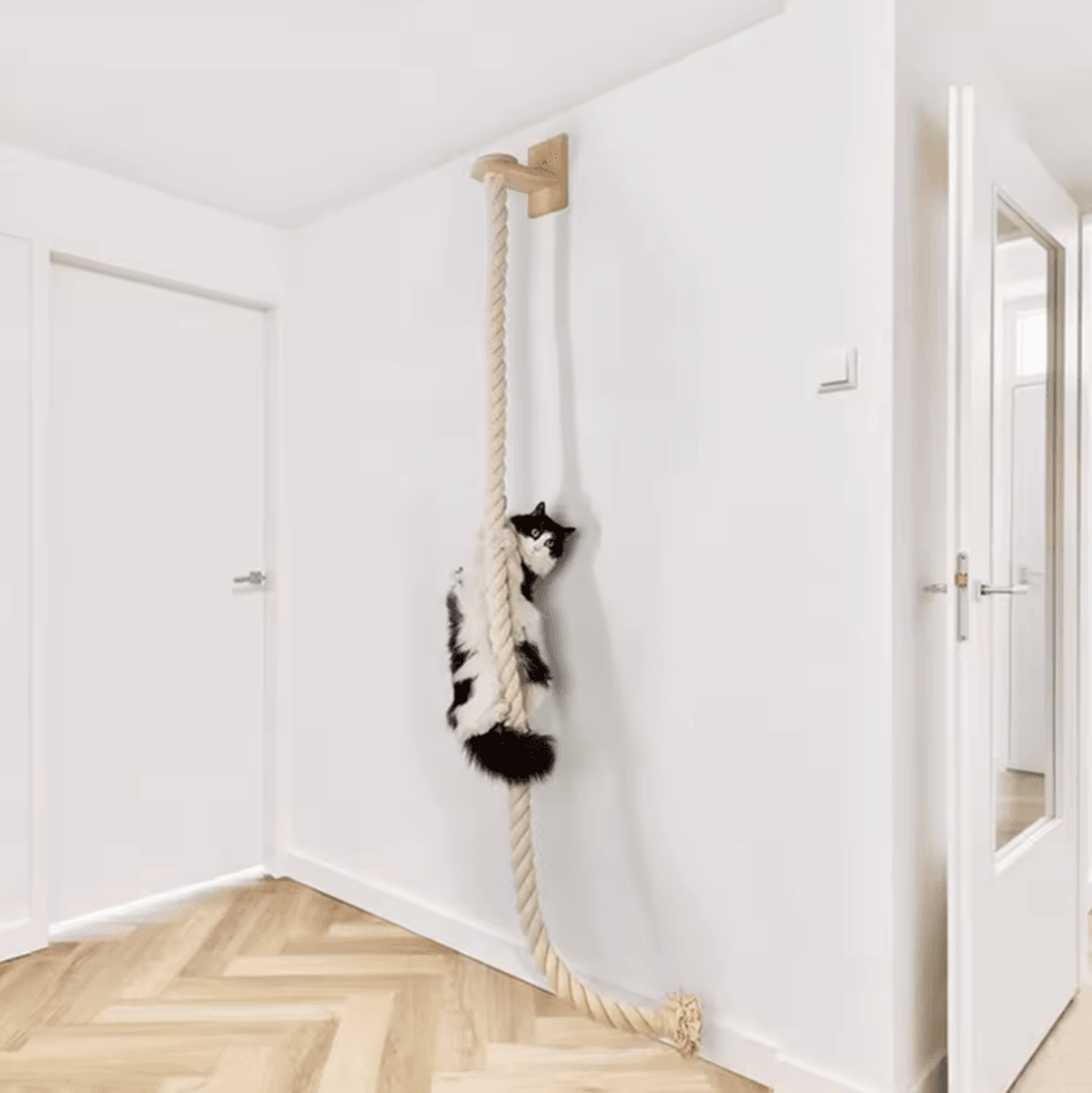 skyclimb wall-mounted sisal cat climber & scratching gym