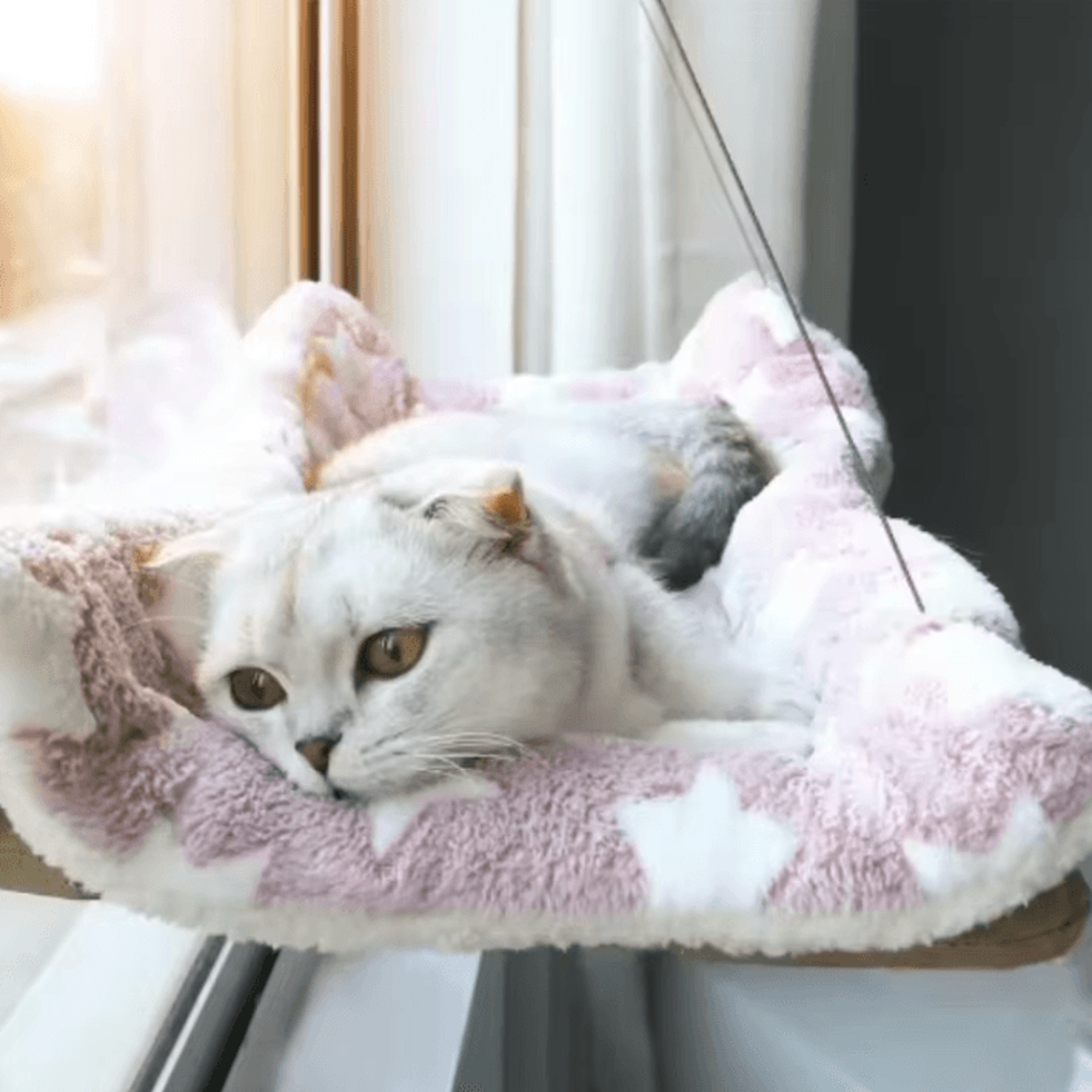 sunnynest window cat hammock bed for indoor cats
