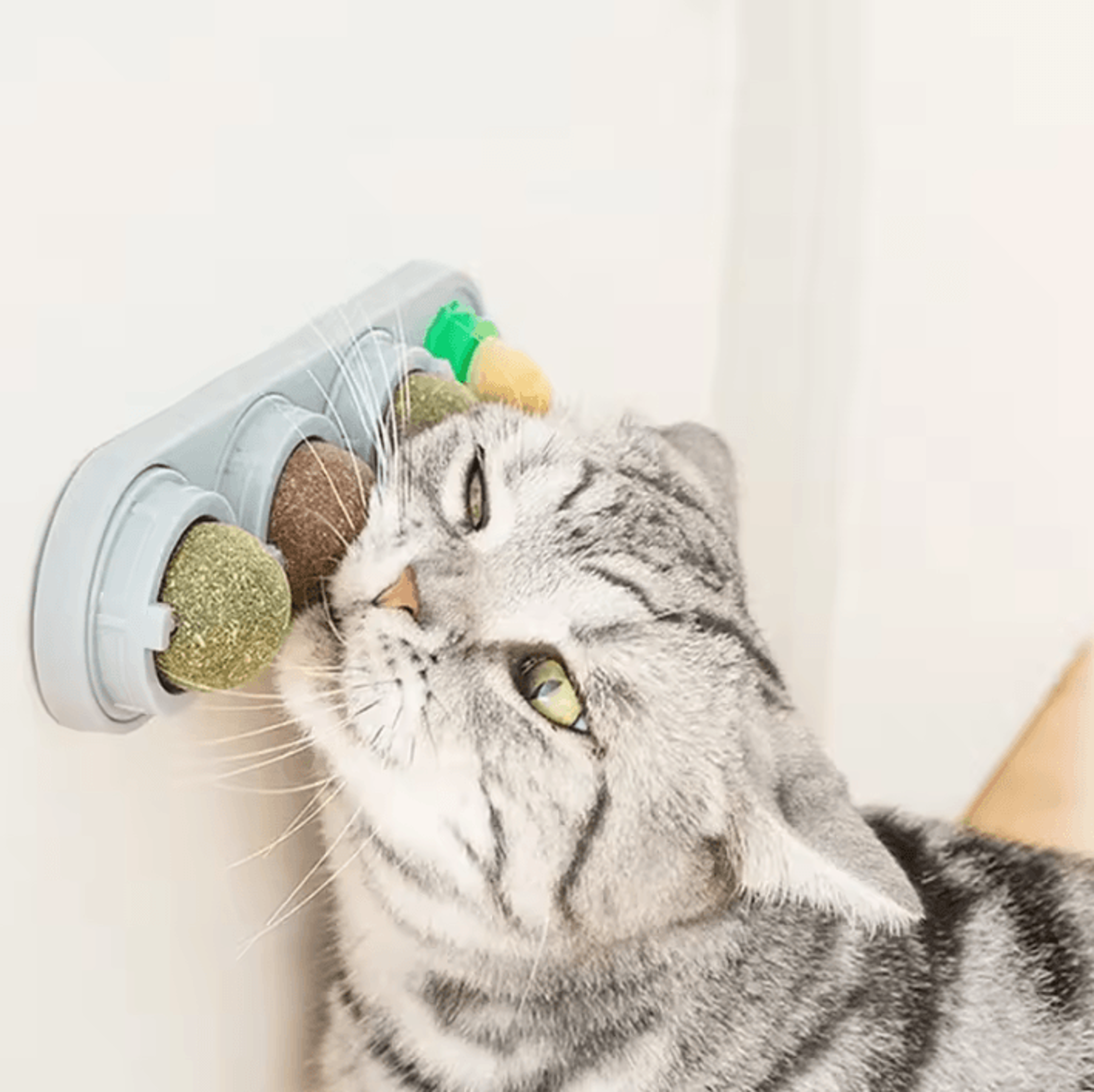 spinfresh 4-in-1 catnip wall toy – rotating silver vine ball for teeth cleaning & play