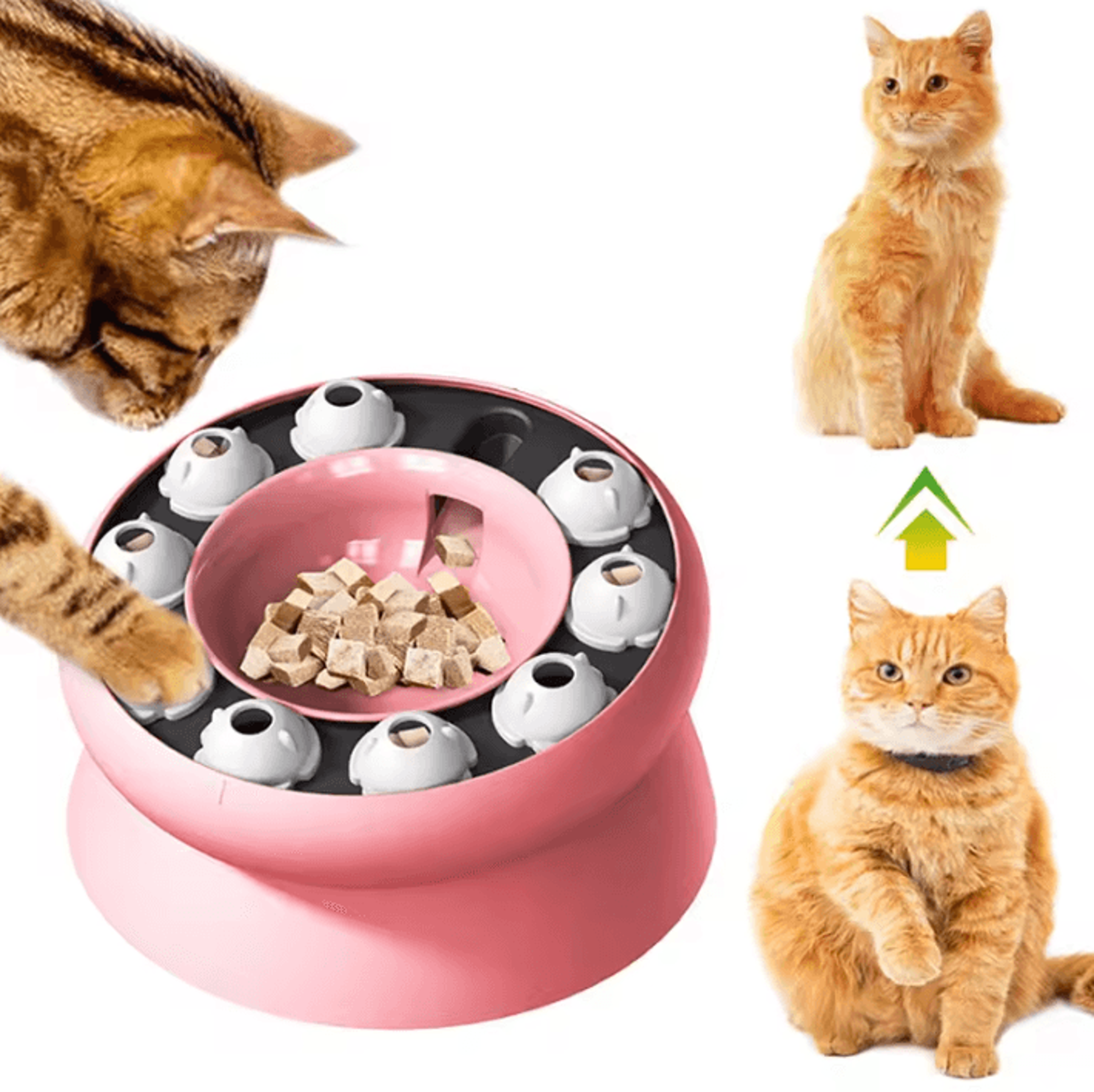 mindpaws interactive slow feeder puzzle bowl for cats