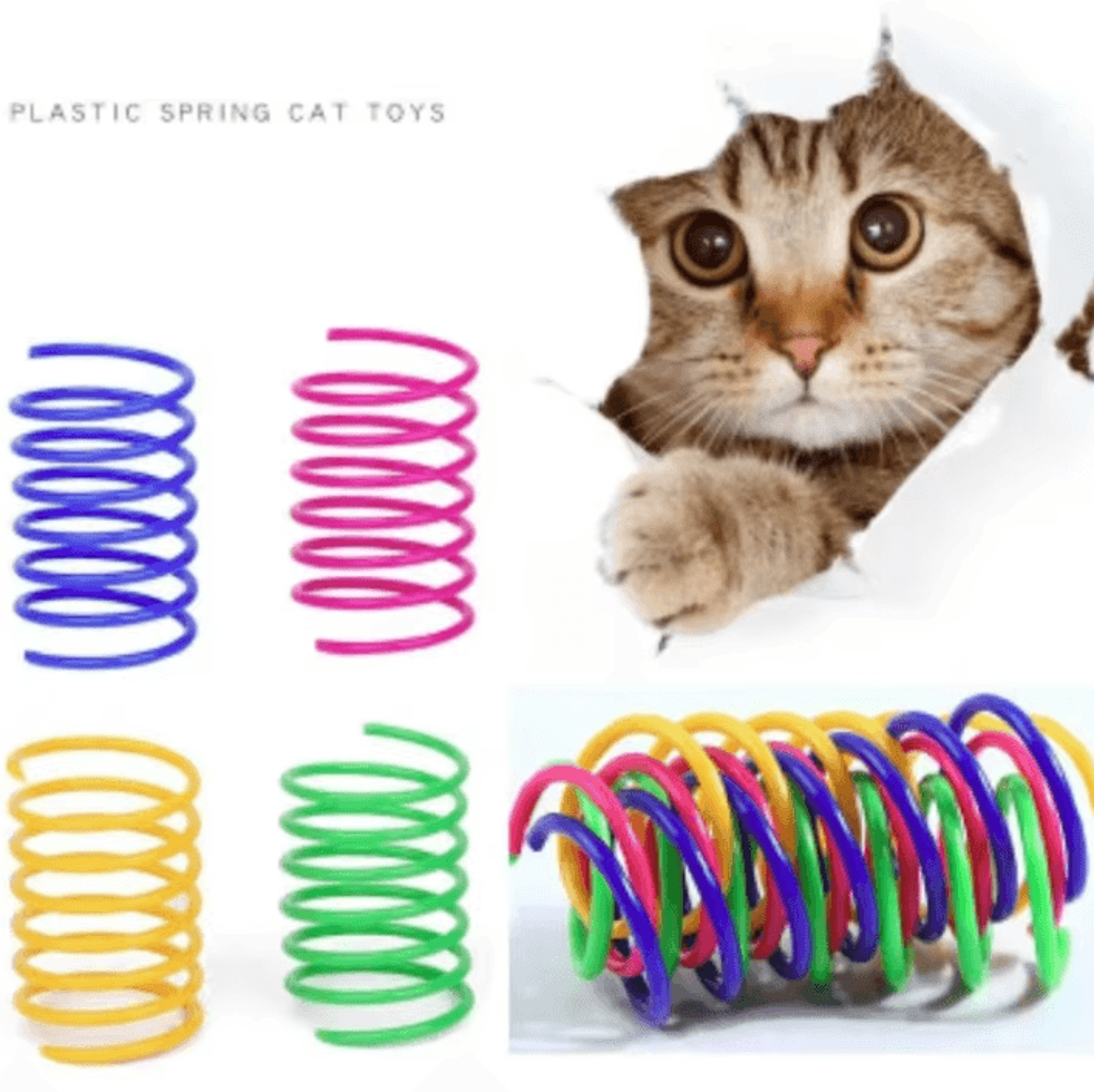 springpounce interactive spiral cat toys for indoor play