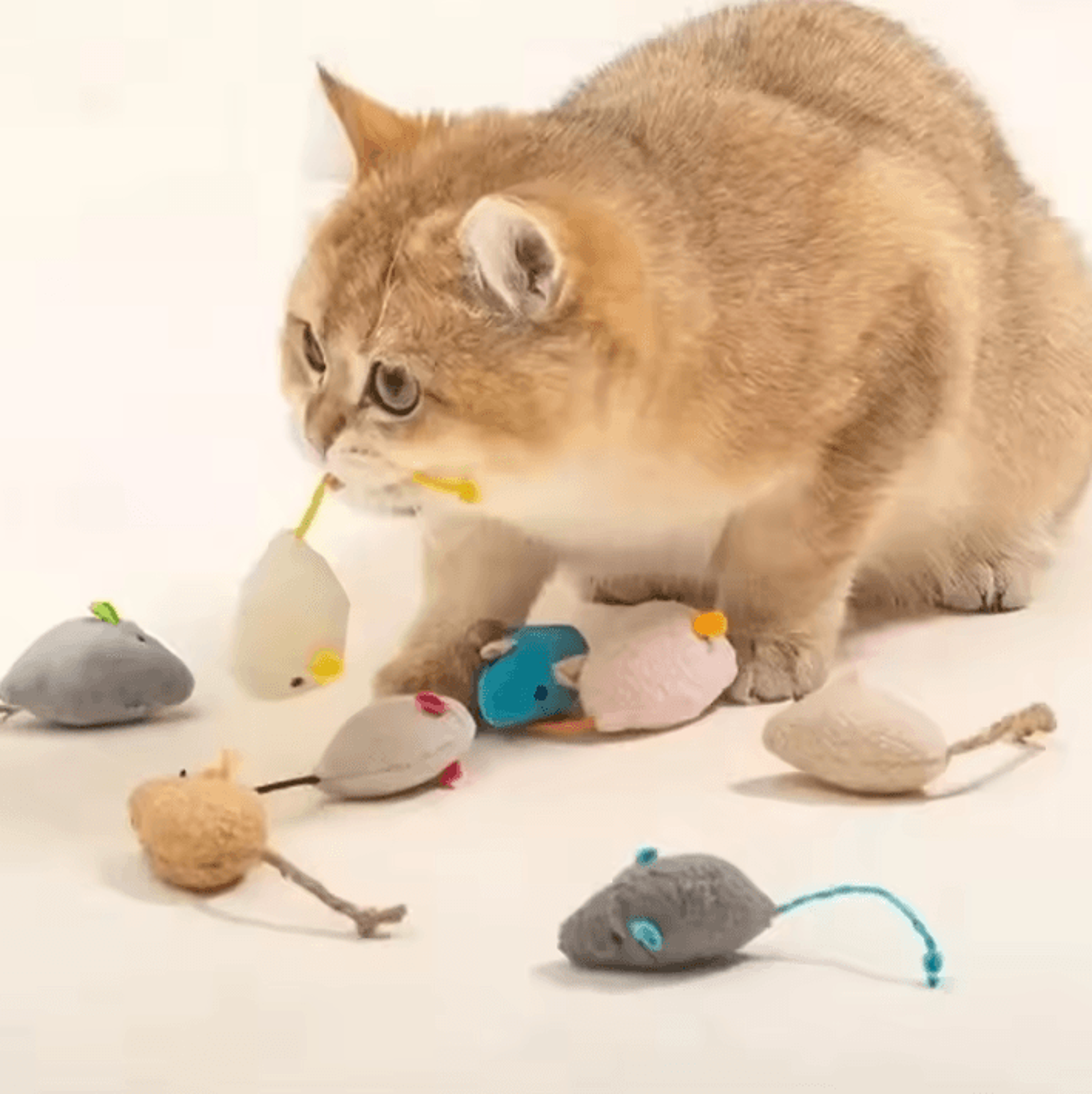 interactive plush rat cat toys for indoor hunting & play