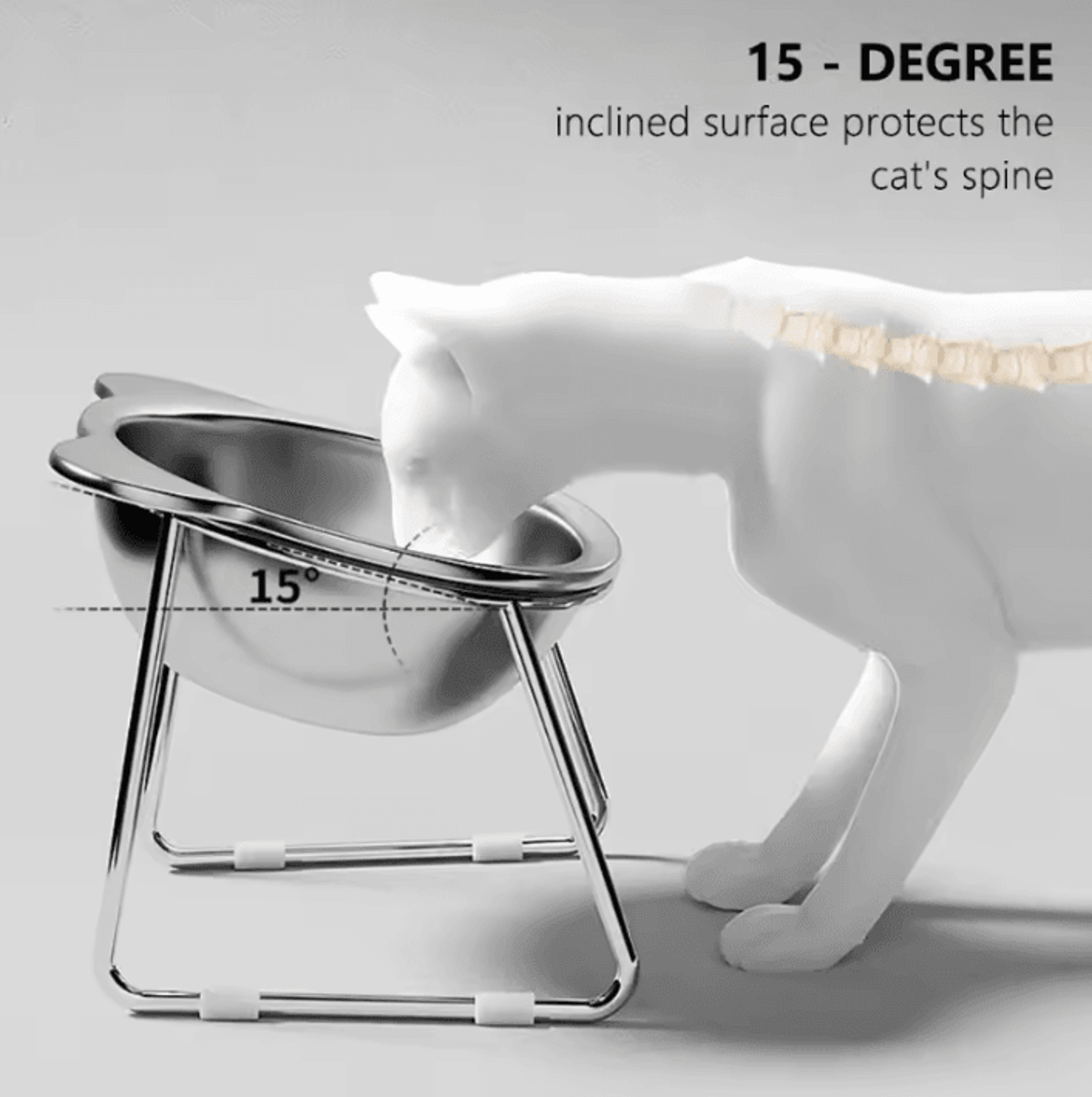 15 elevated stainless steel cat bowl for healthy & comfortable feeding