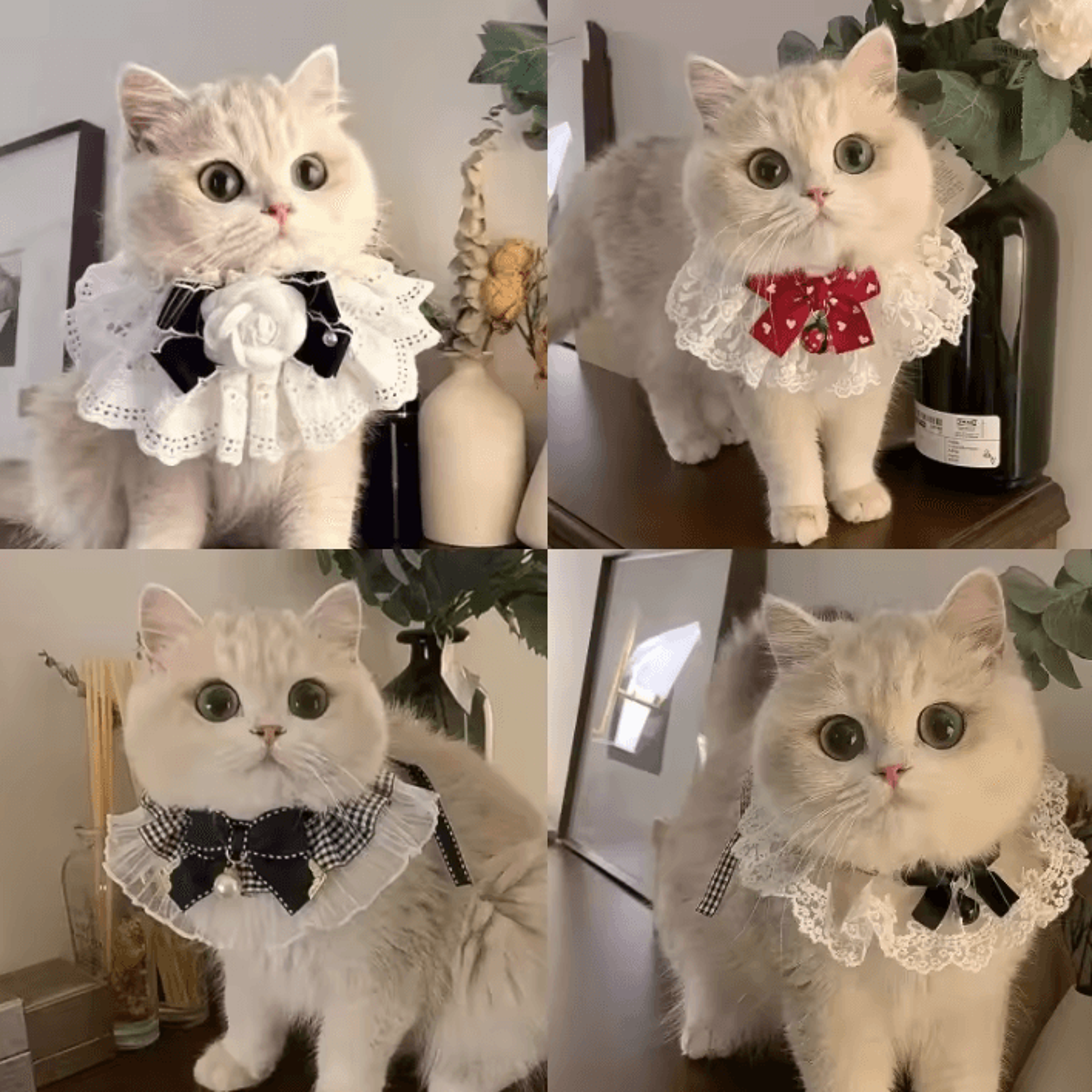 princess lace bowtie pet collar scarf for cats & small dogs