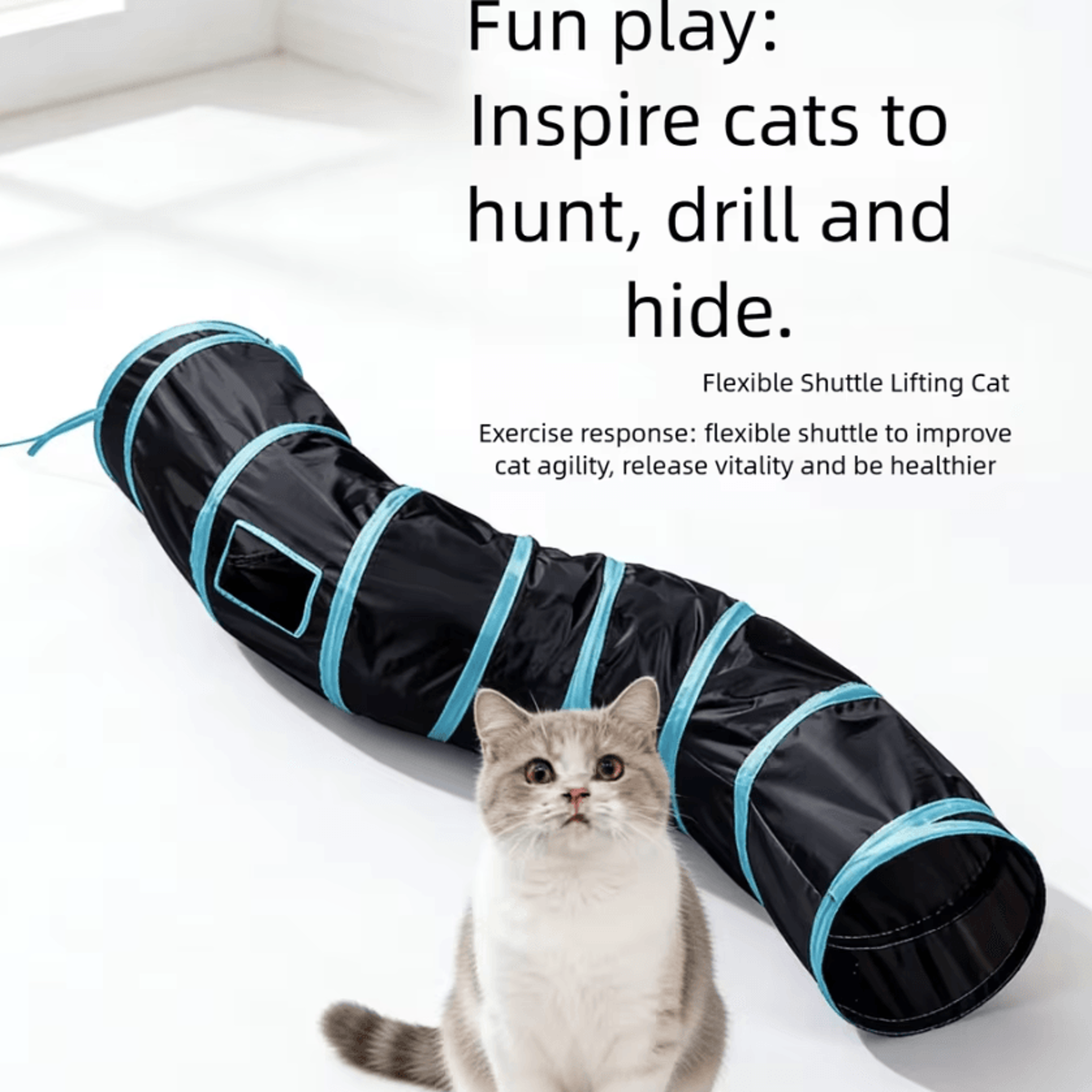 collapsible interactive cat play tunnel for hide-and-seek fun