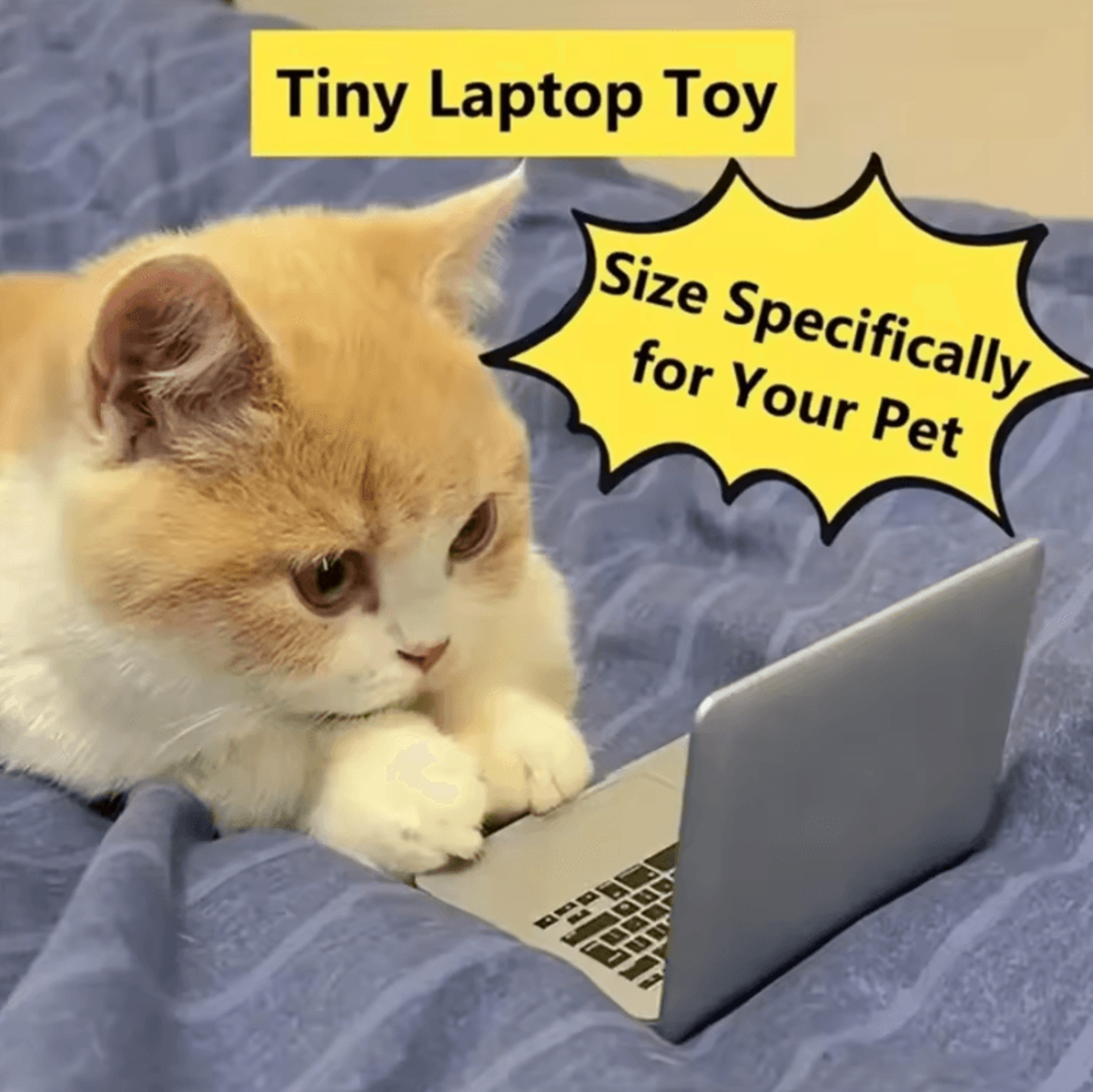 mini cat laptop mirror toy for curious kittens & interactive play