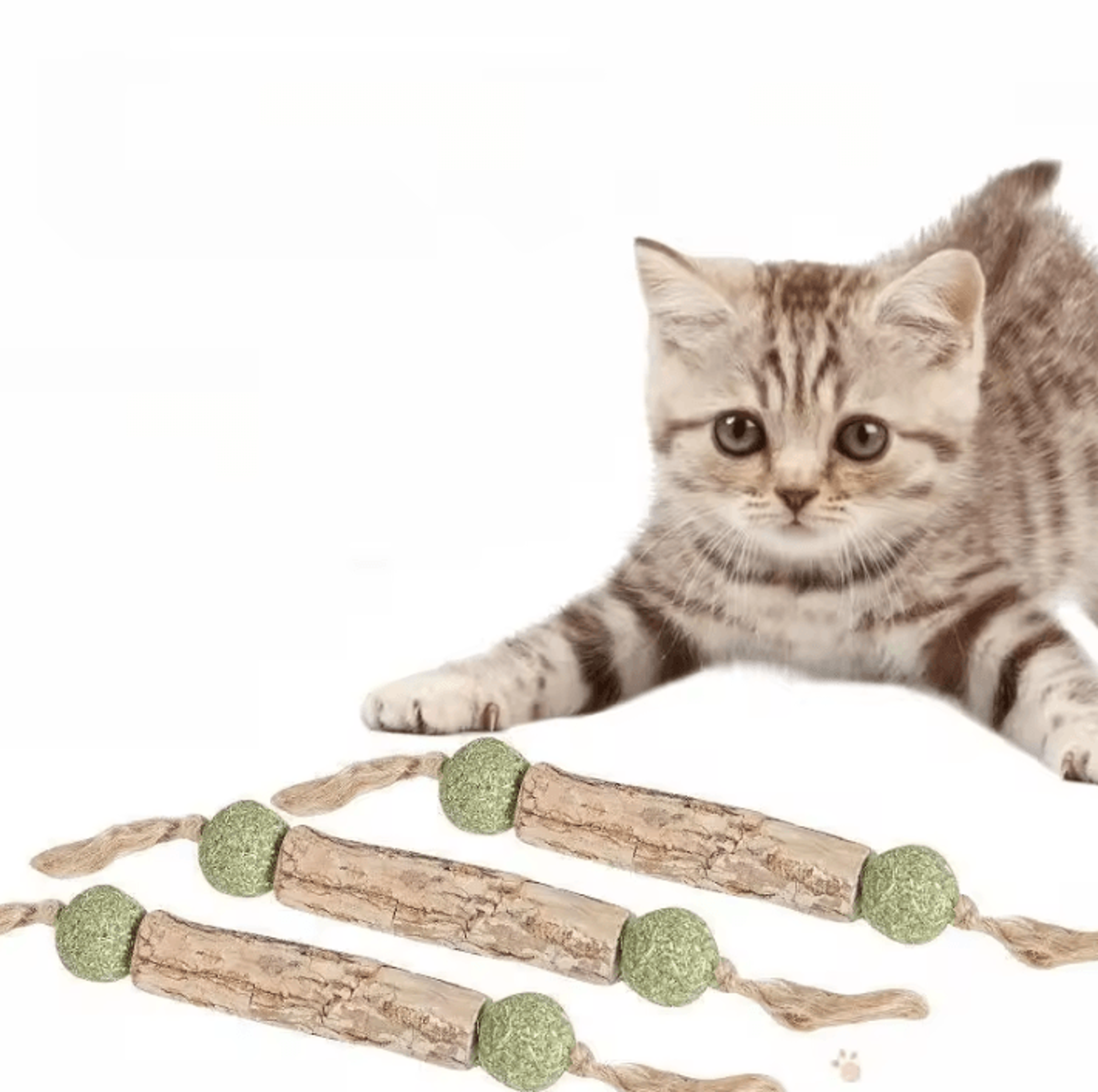 purepurr natural catnip dental chew stick for cats