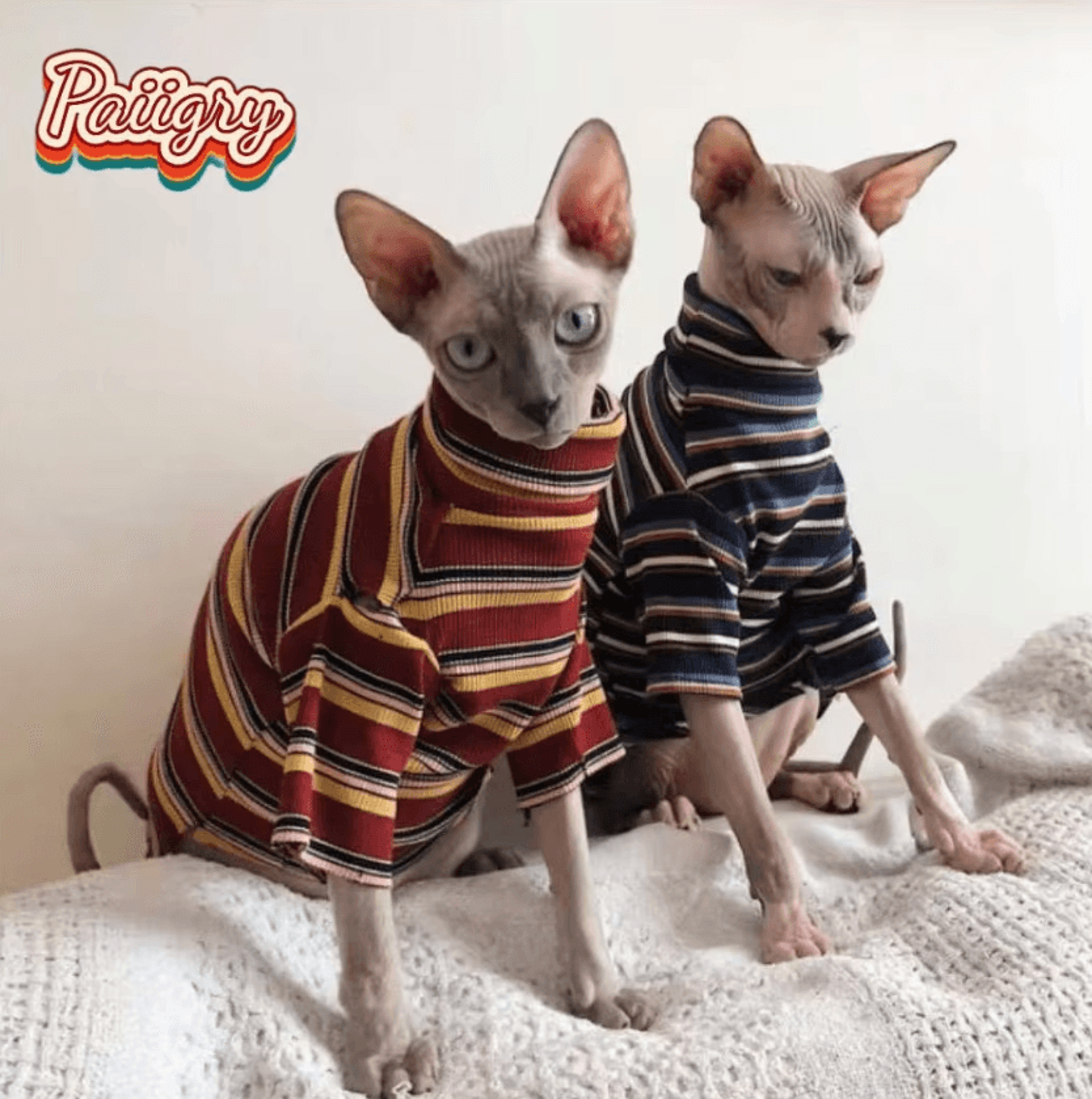 retrocool hairless cat summer t-shirt