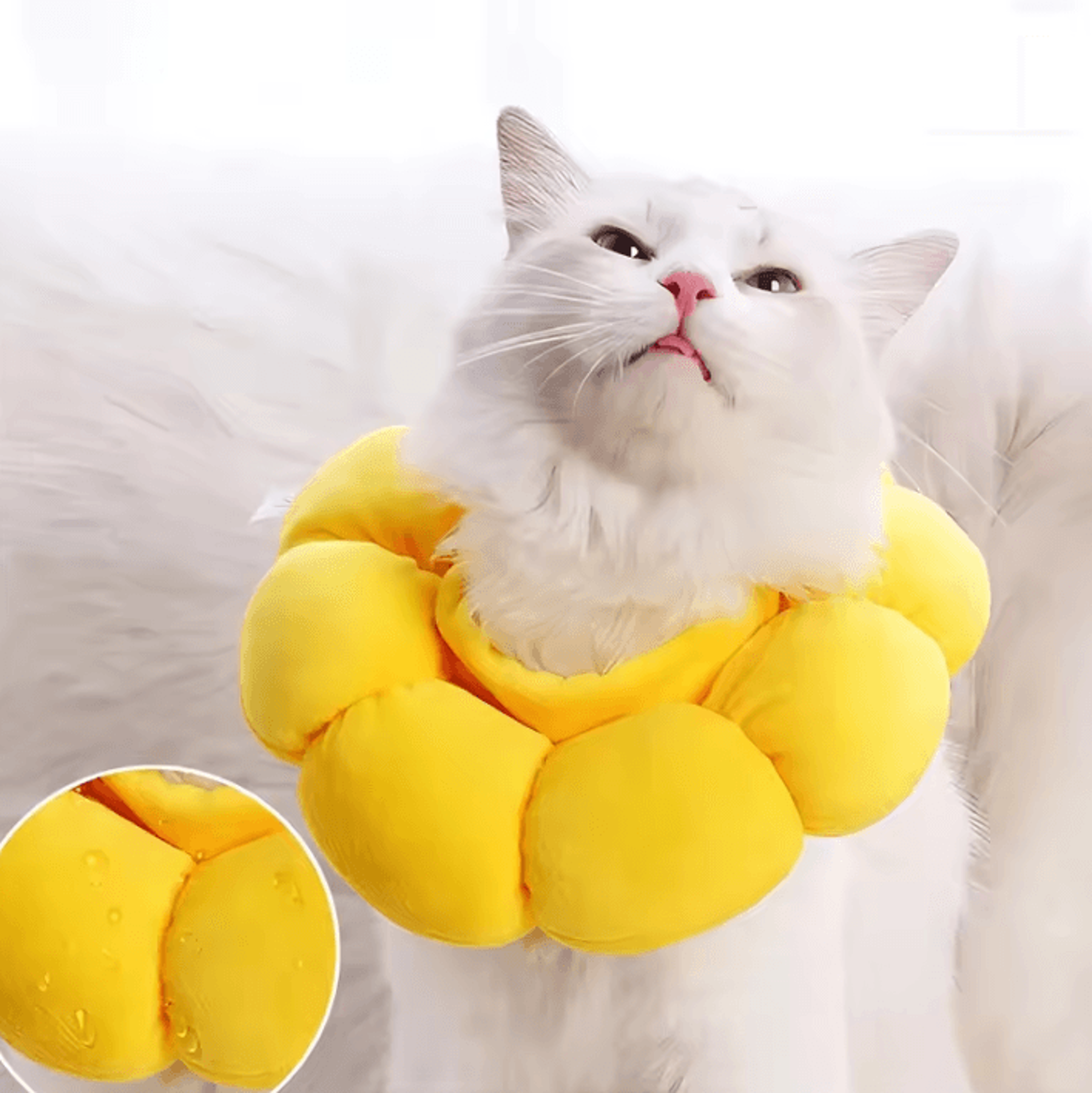 sunbloom soft recovery collar for cats & kittens