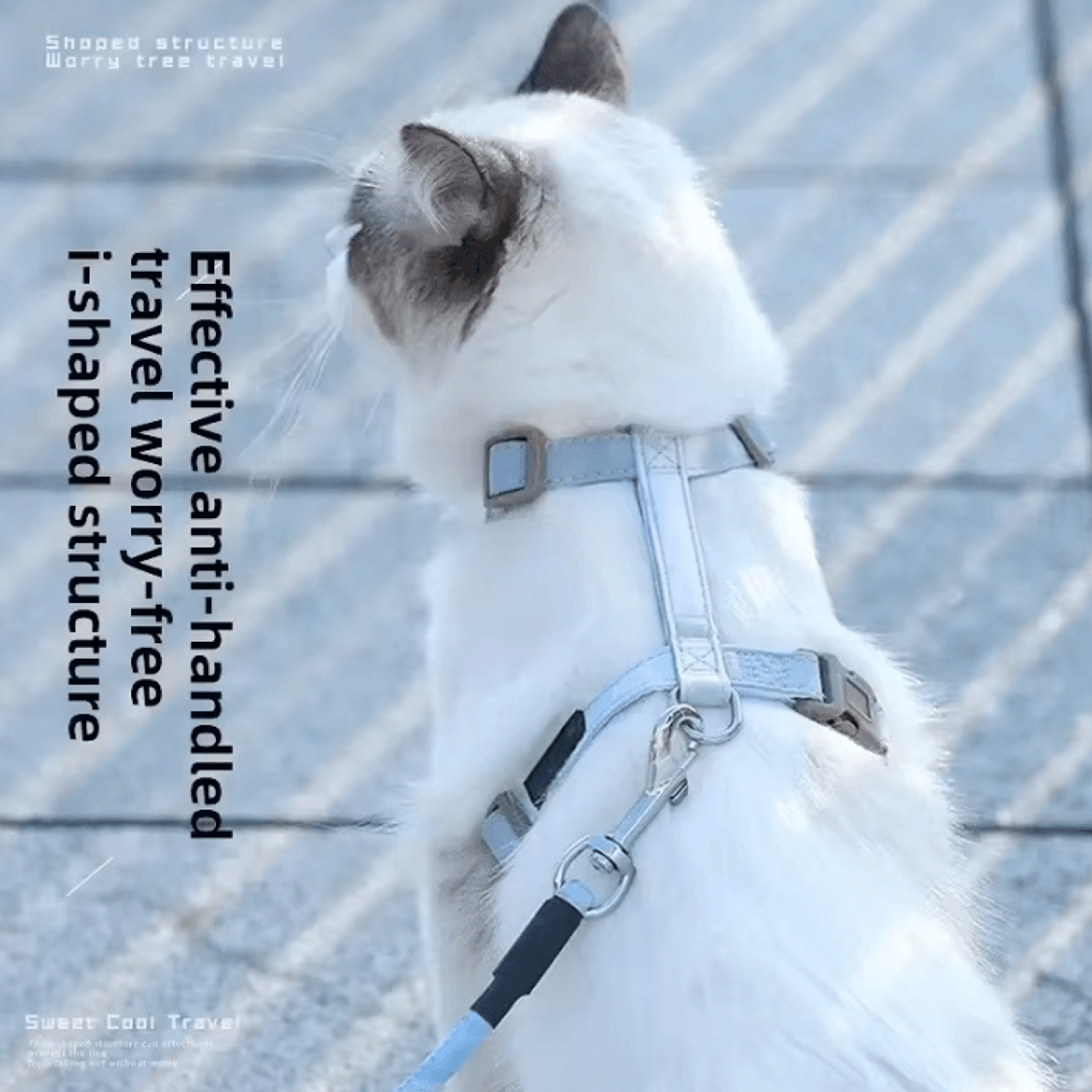 trailpaws escape-proof cat harness & leash set