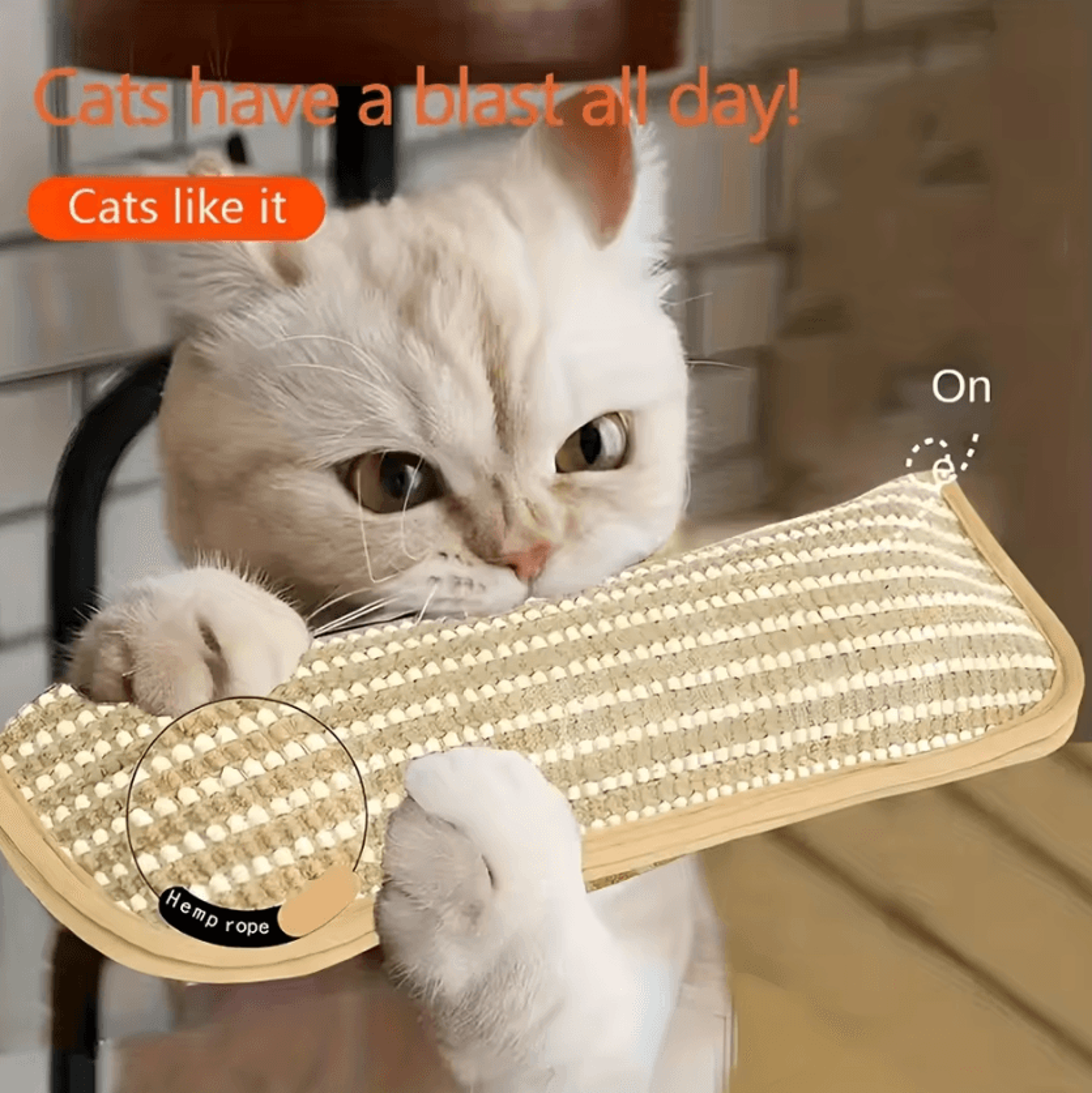 scratchnest catnip scratching pad with play pillow