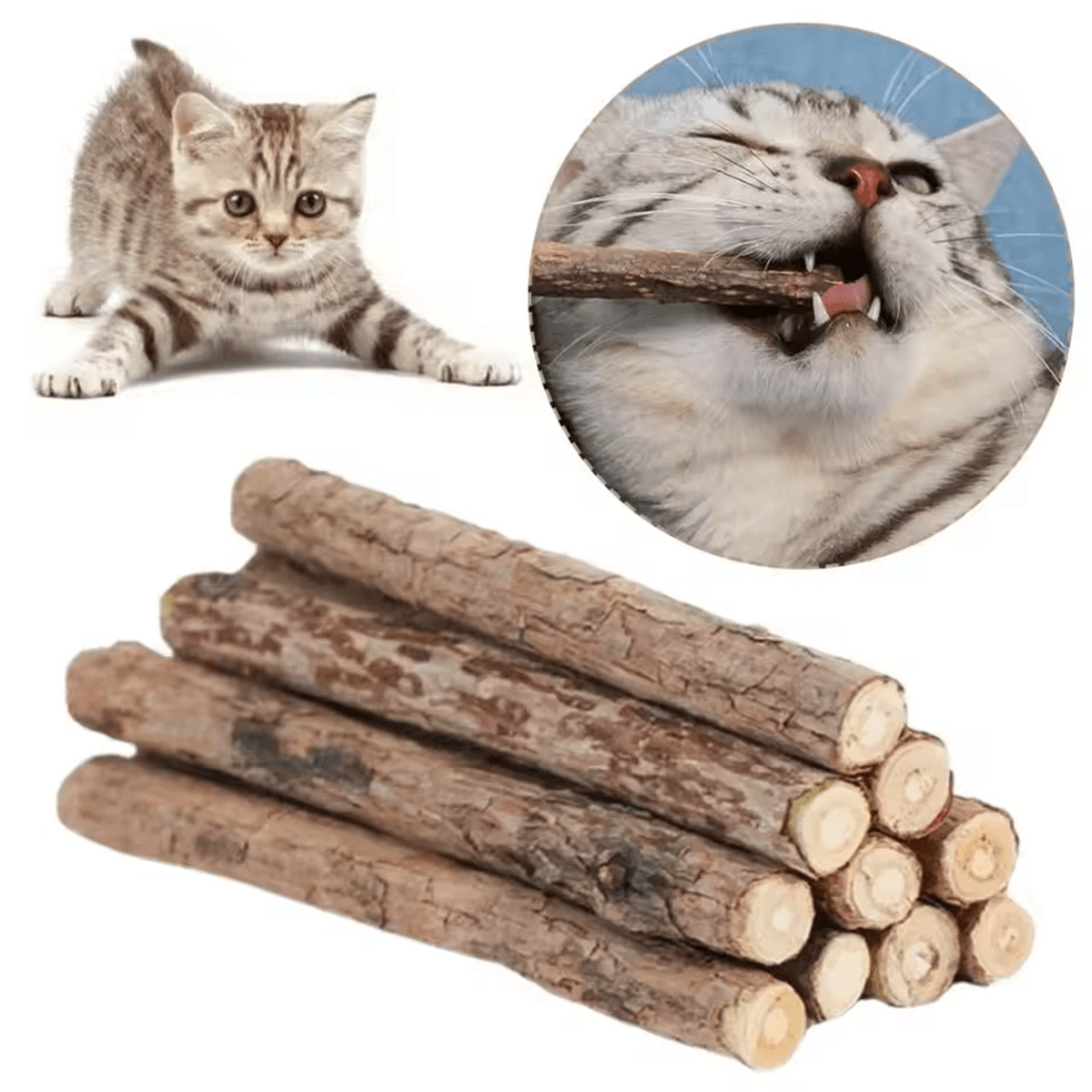 silvermint natural matatabi & silvervine cat chew toy sticks