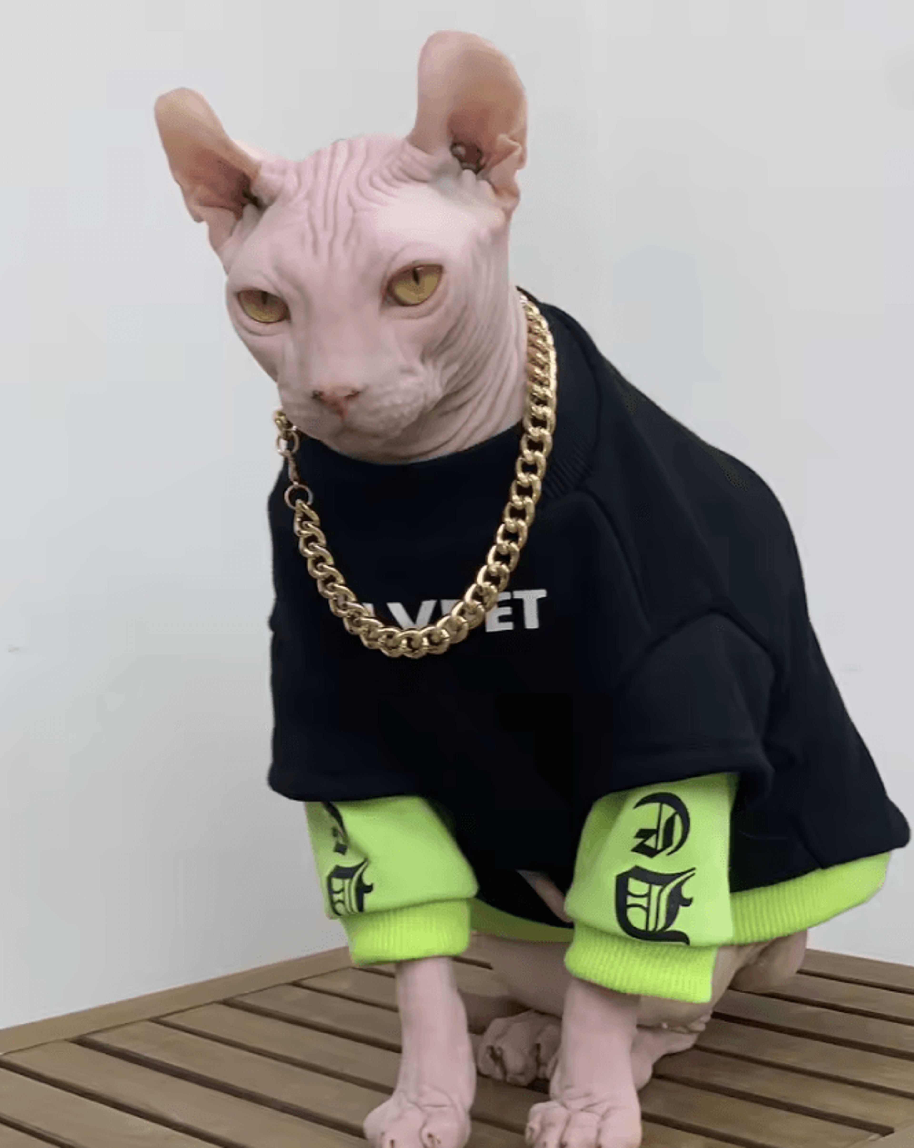 cozyfit sphynx cat sweatshirt – sphynx cat clothes for warmth, comfort & everyday style