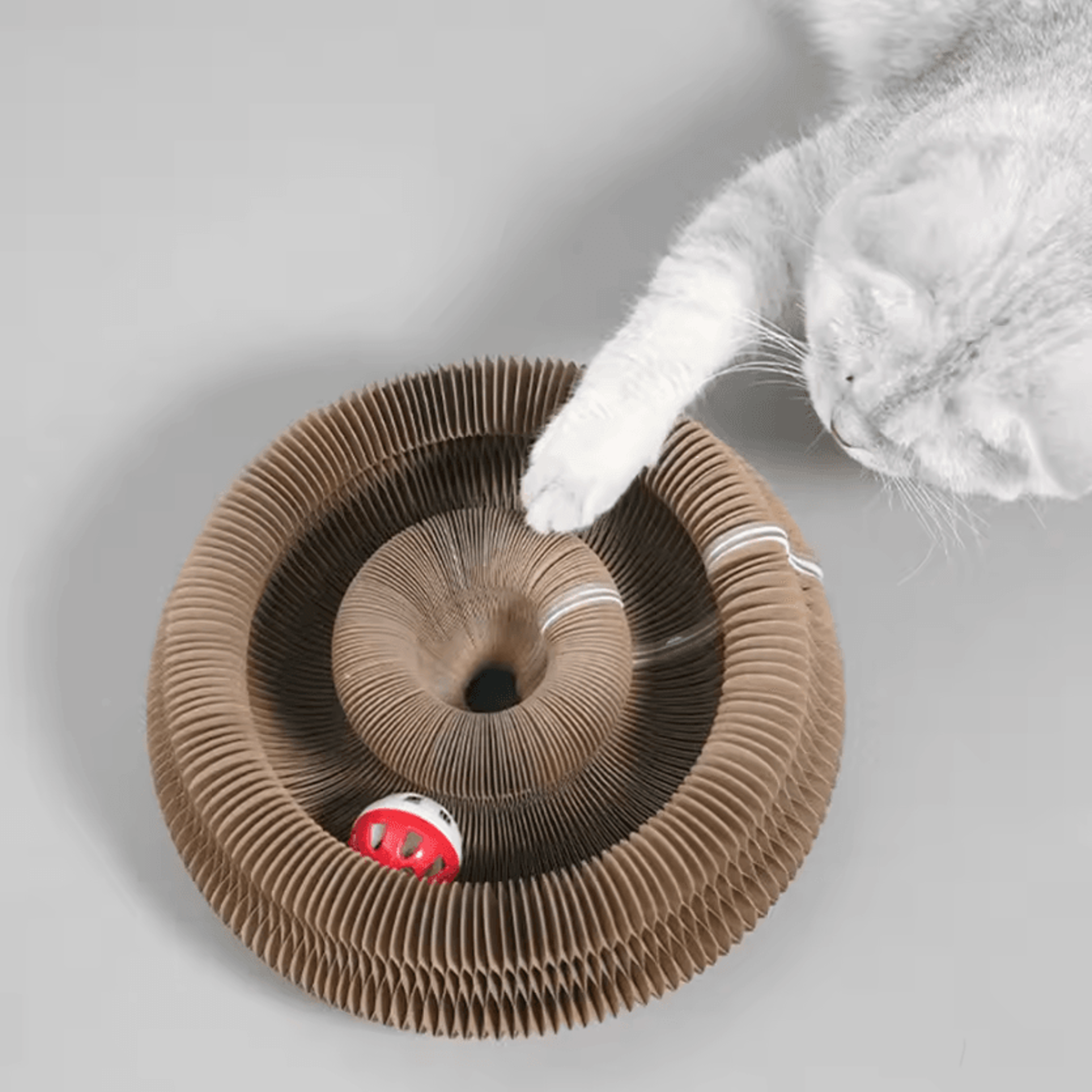 magic curl cat scratcher tunnel – cat scratching board for play, exercise & claw care