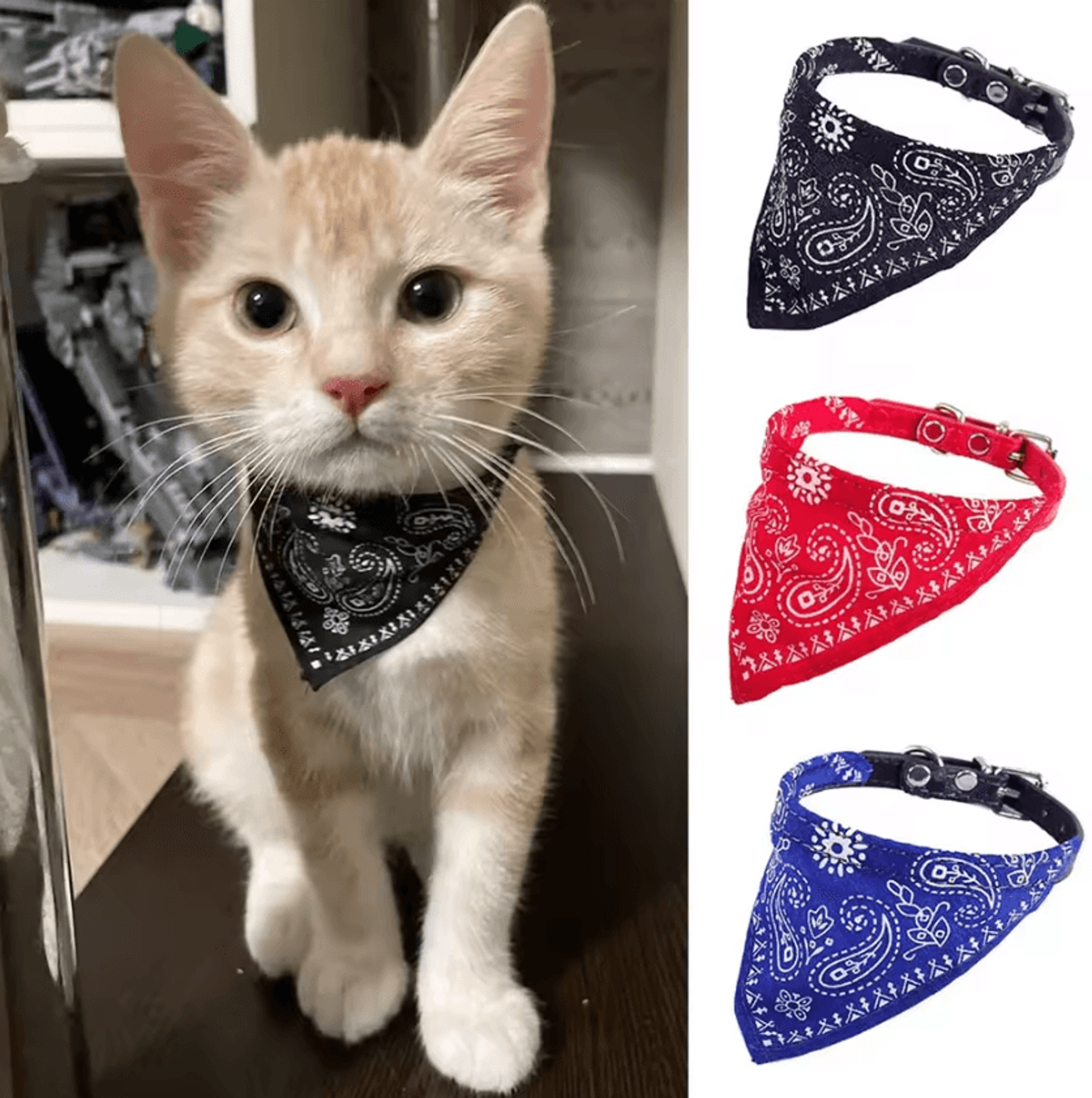 adjustable printed bandana collar for cats & small dogs