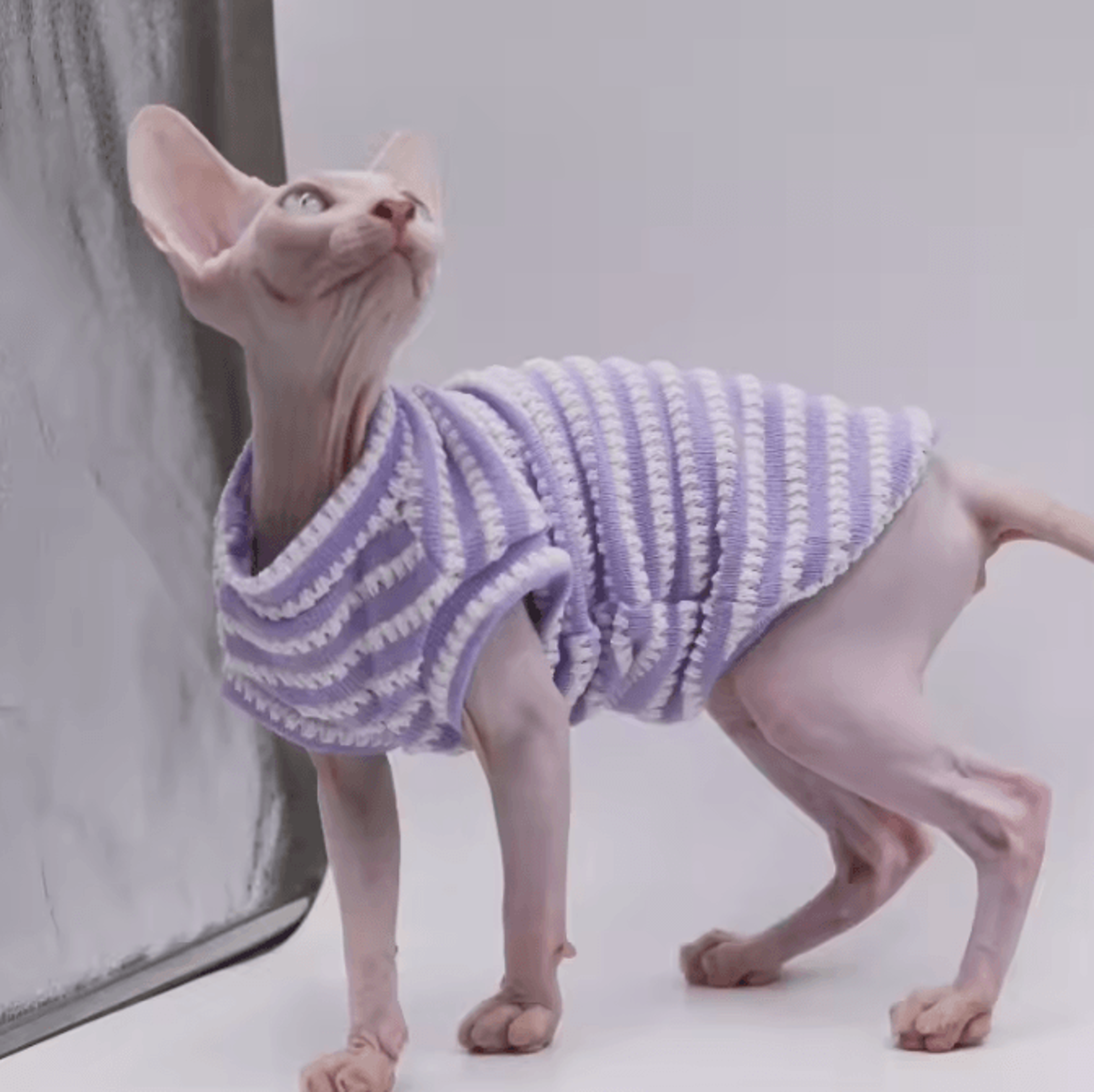 duomasumi cooling cat vest – ultra-soft summer shirt for hairless & sensitive cats