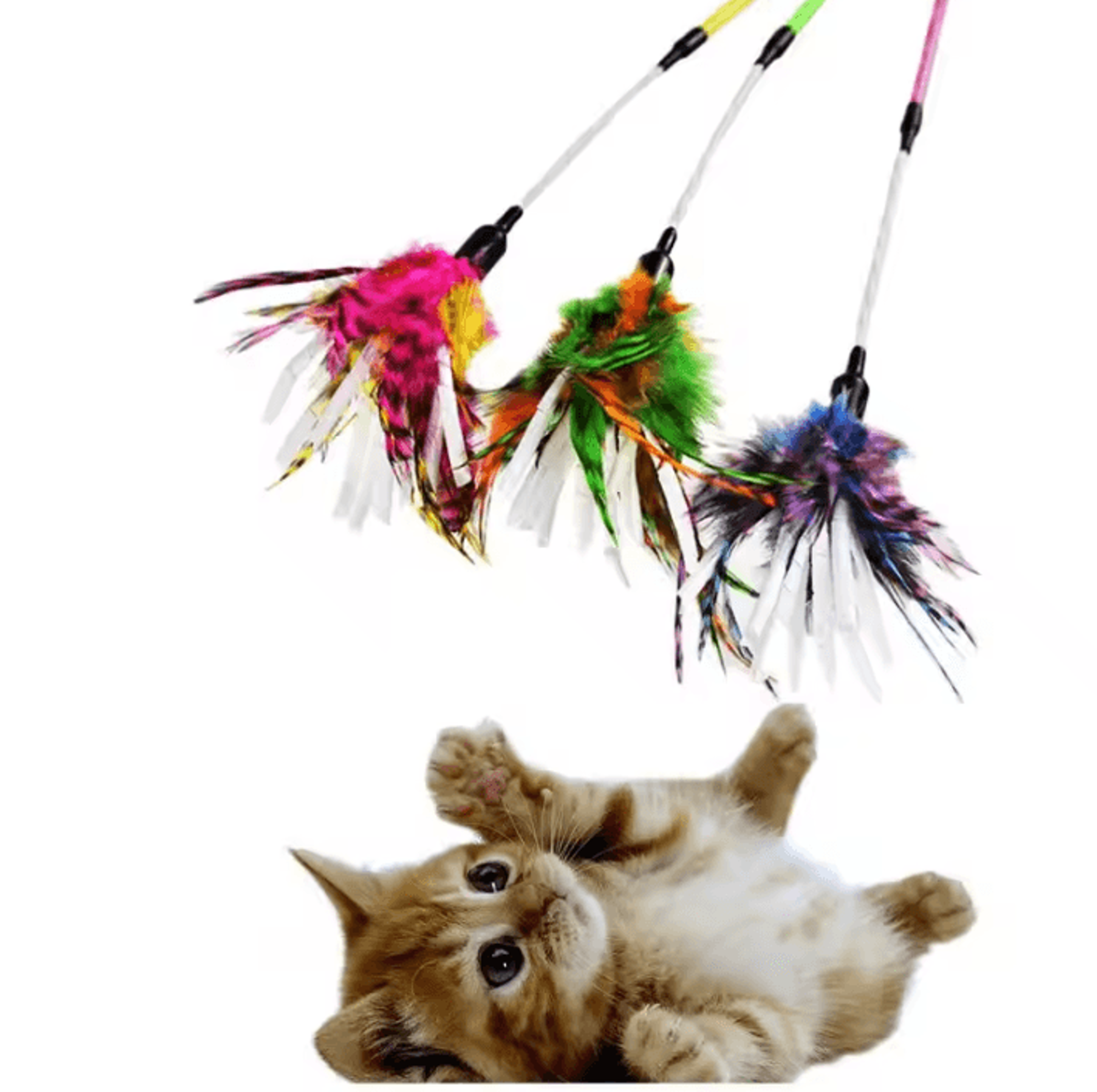 spiral feather cat wand toy – interactive teaser toy for active cats & kittens