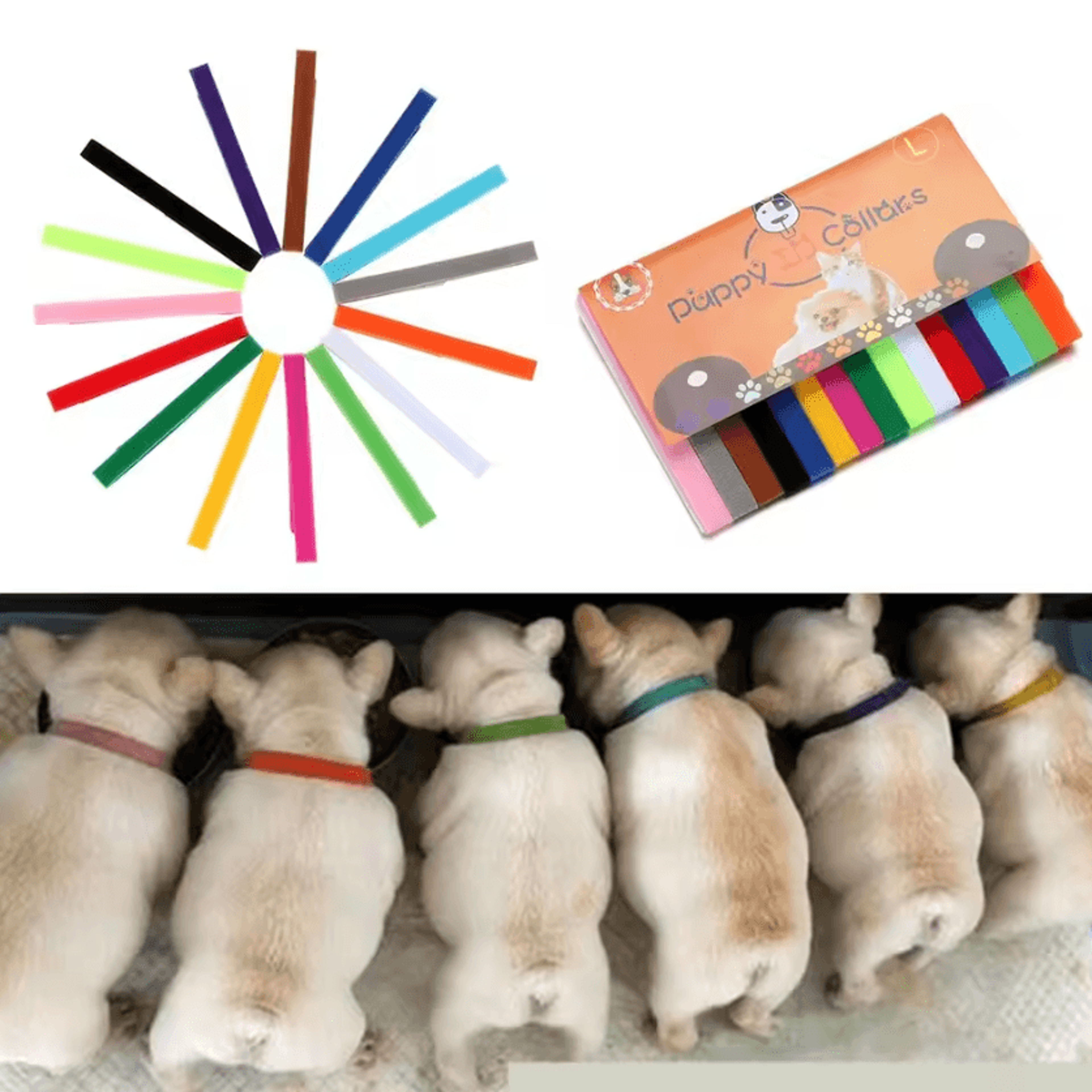 colortrack newborn puppy id collar set (15-piece)