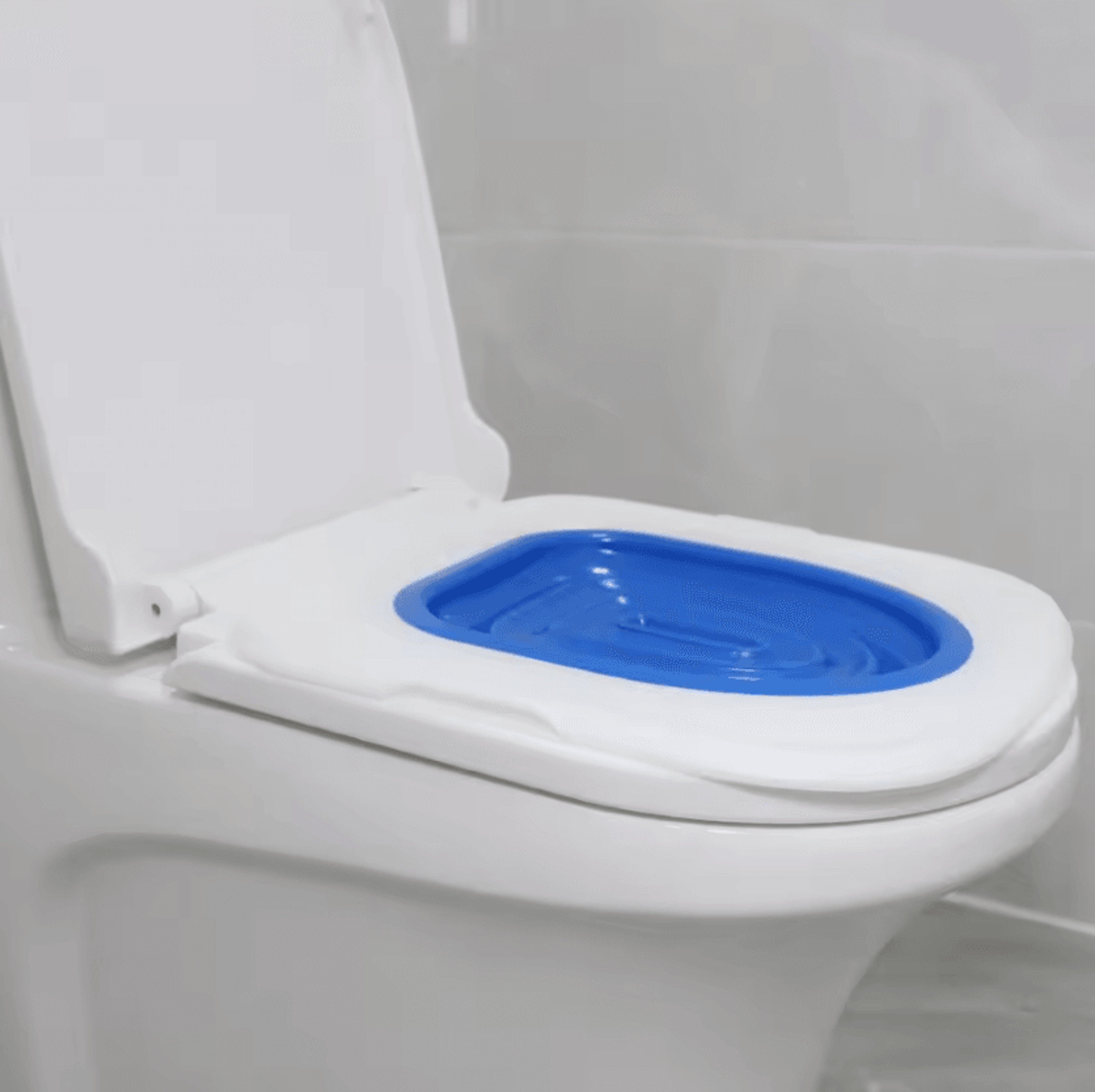 easystep cat toilet training system