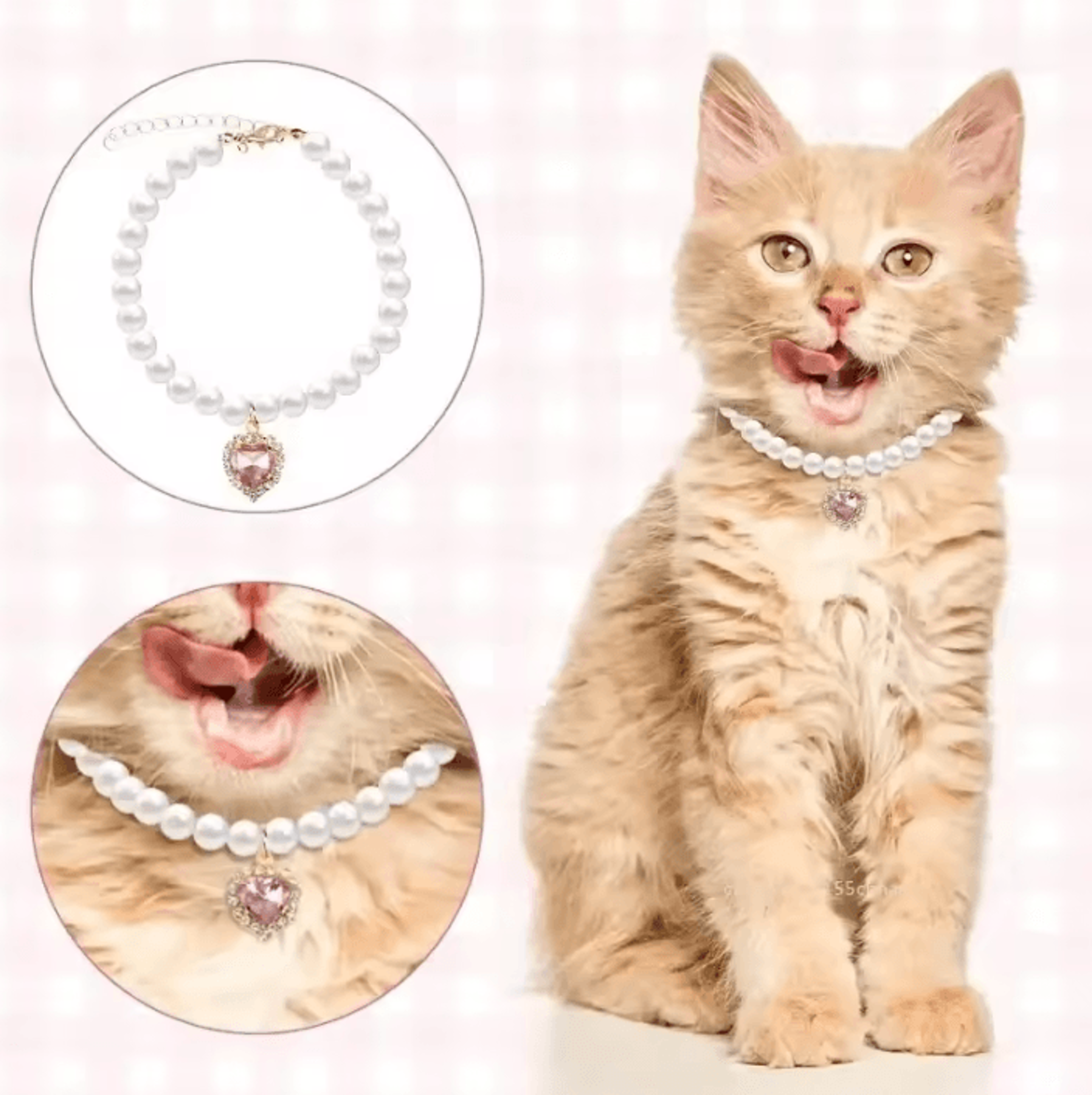 pearl princess pet necklace collar