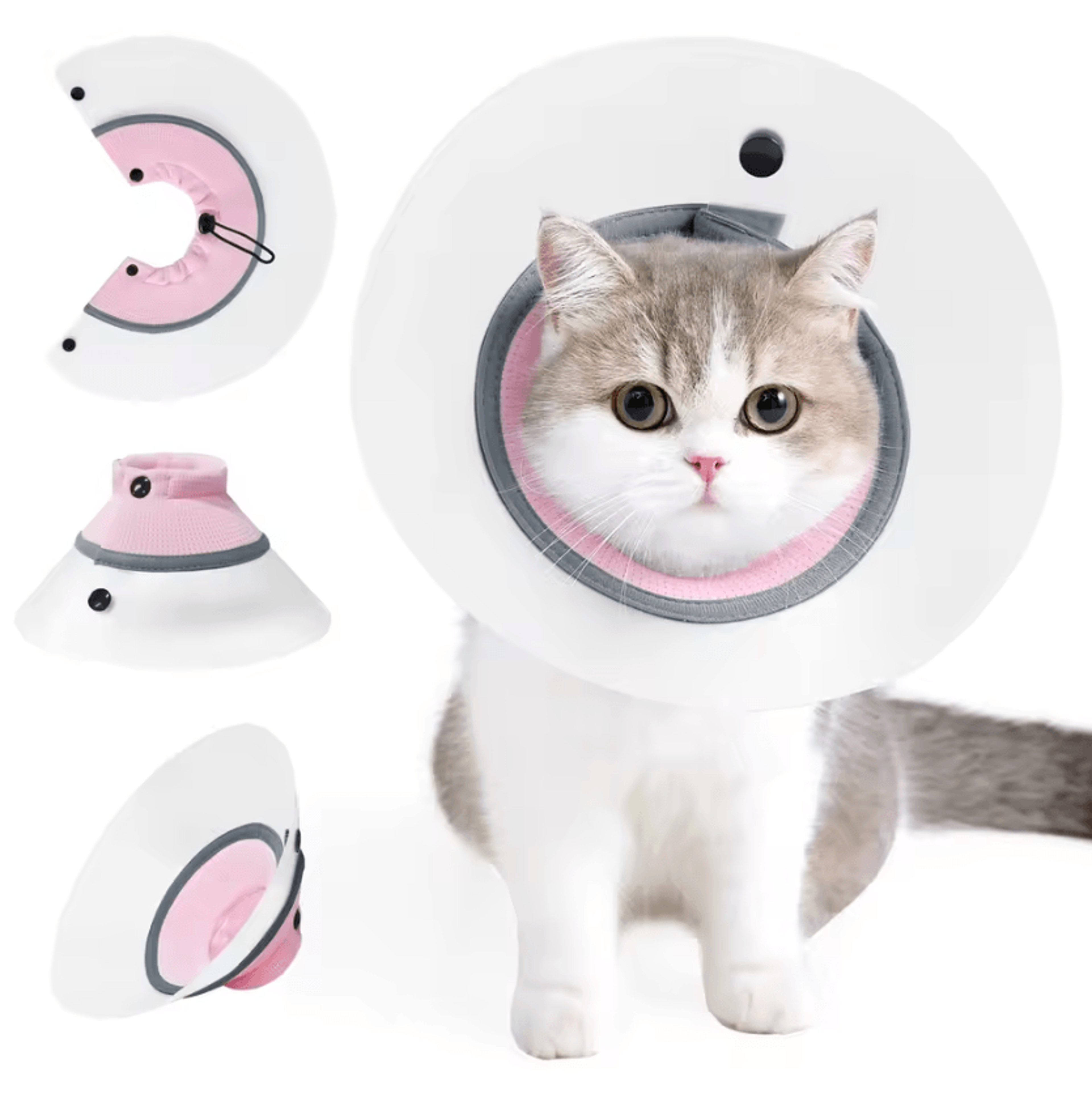 comfortguard adjustable recovery collar for cats