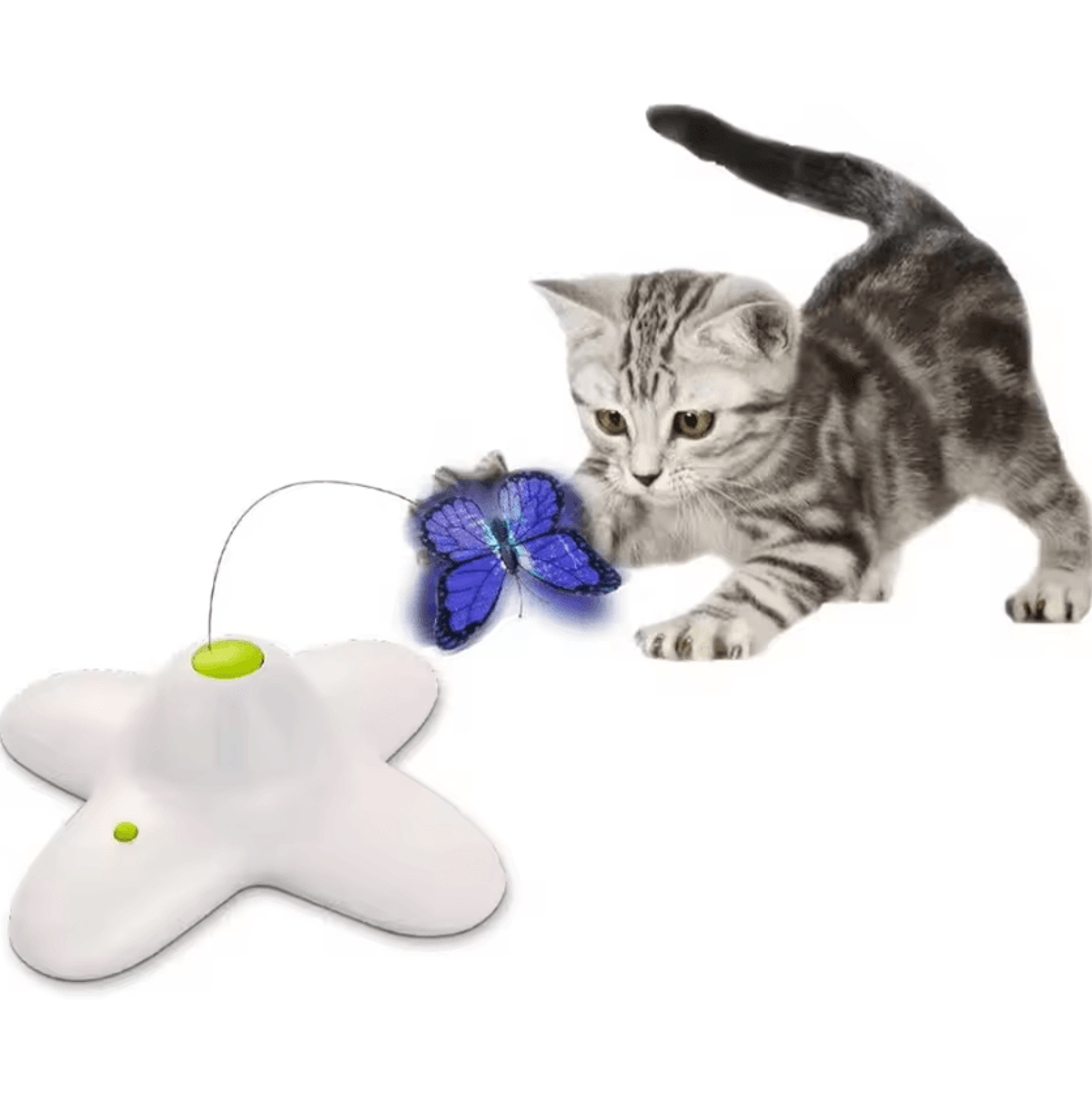 flutterwing 360° interactive butterfly cat toy