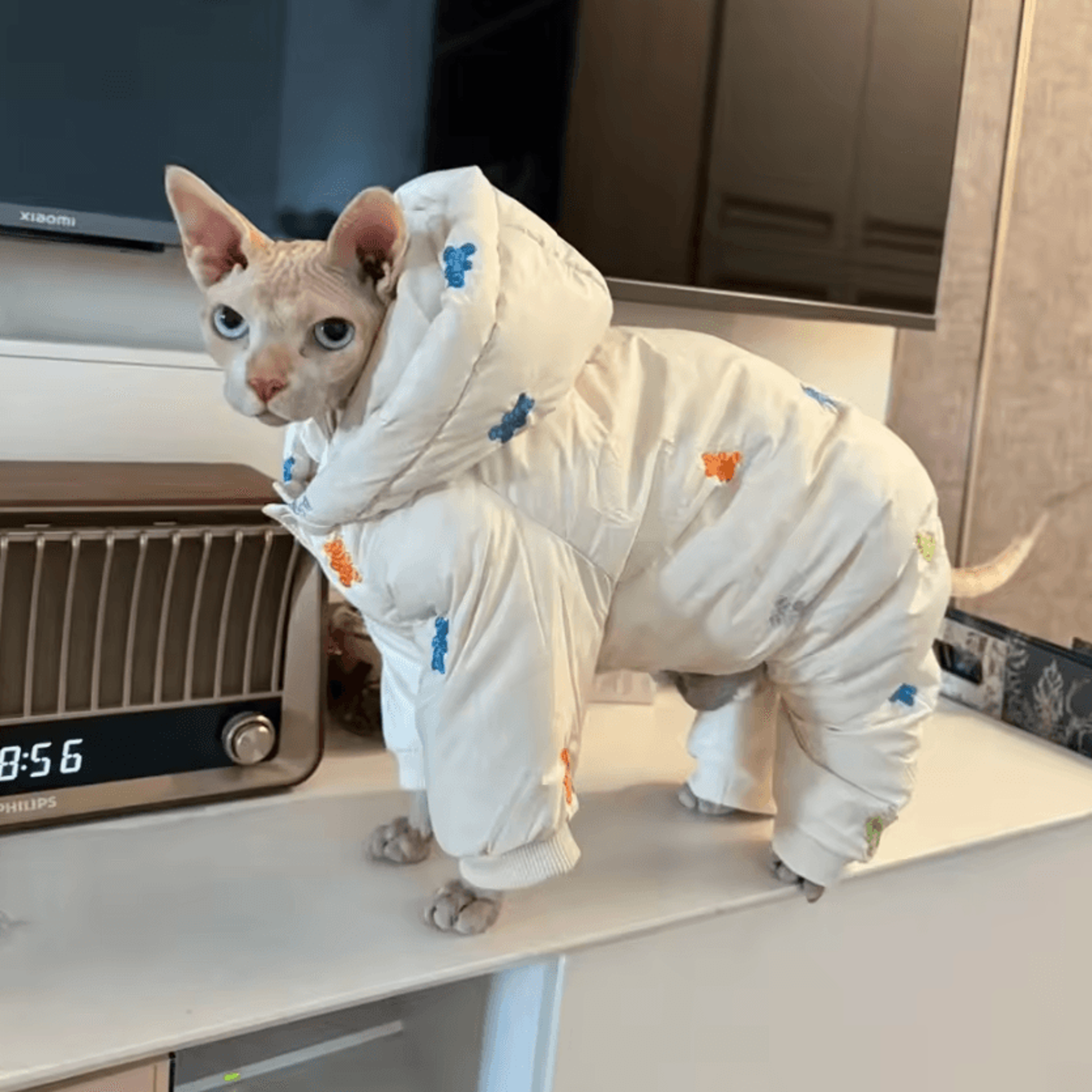 snowpaw winter jacket for sphynx & devon rex cats