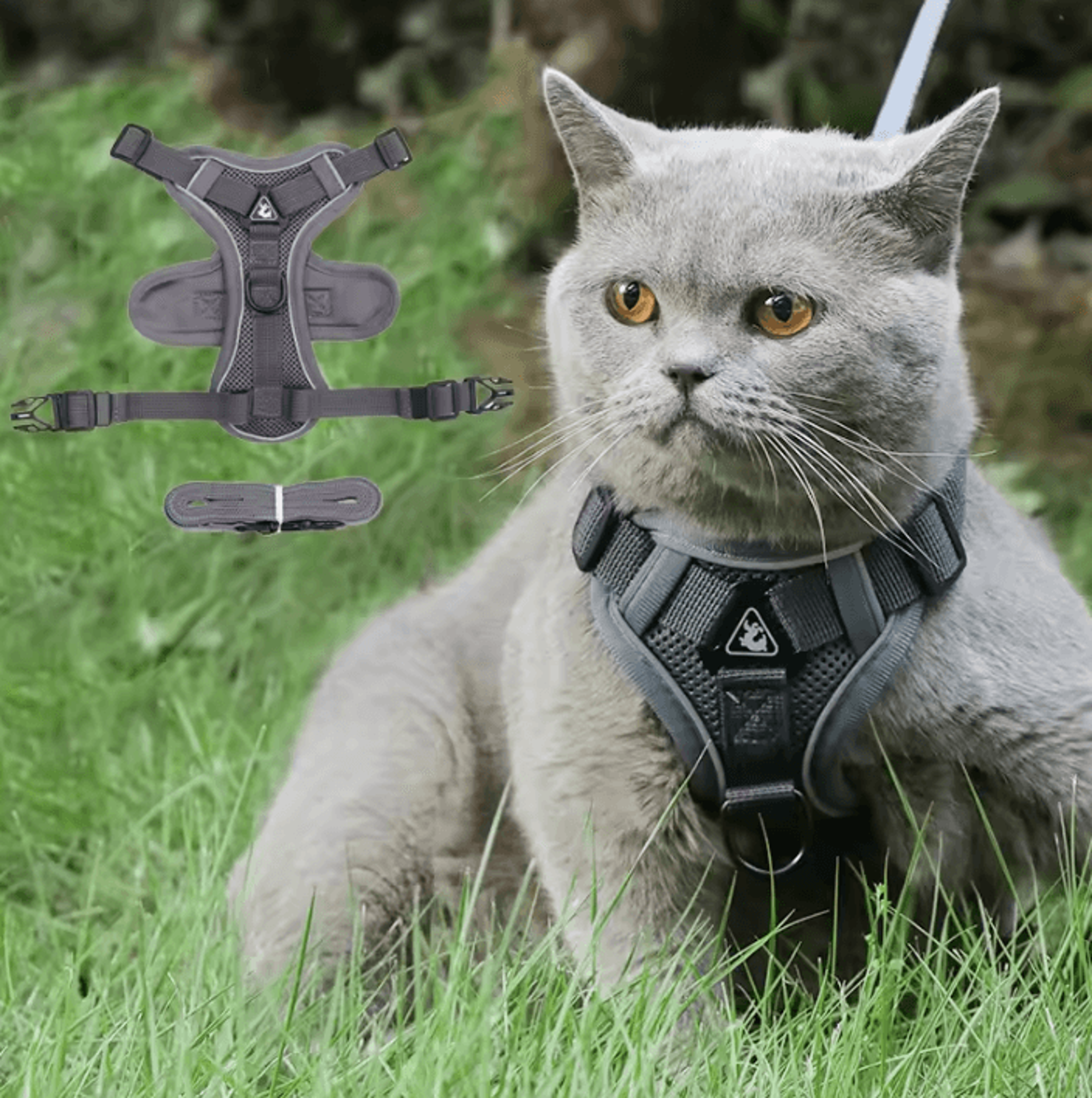 reflective comfortfit pet harness & leash set for cats & small dogs
