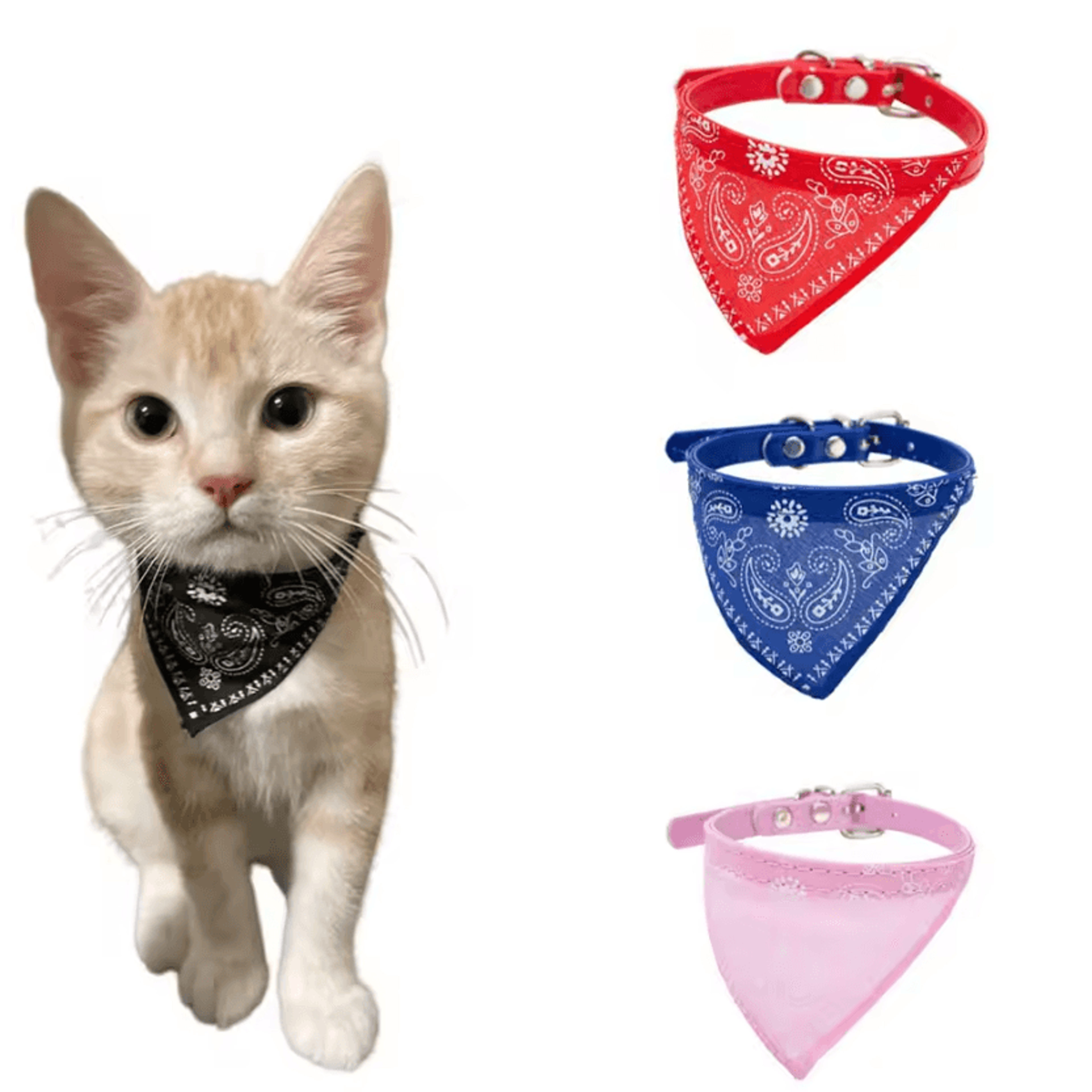 charmingbandana adjustable pet collar with printed scarf