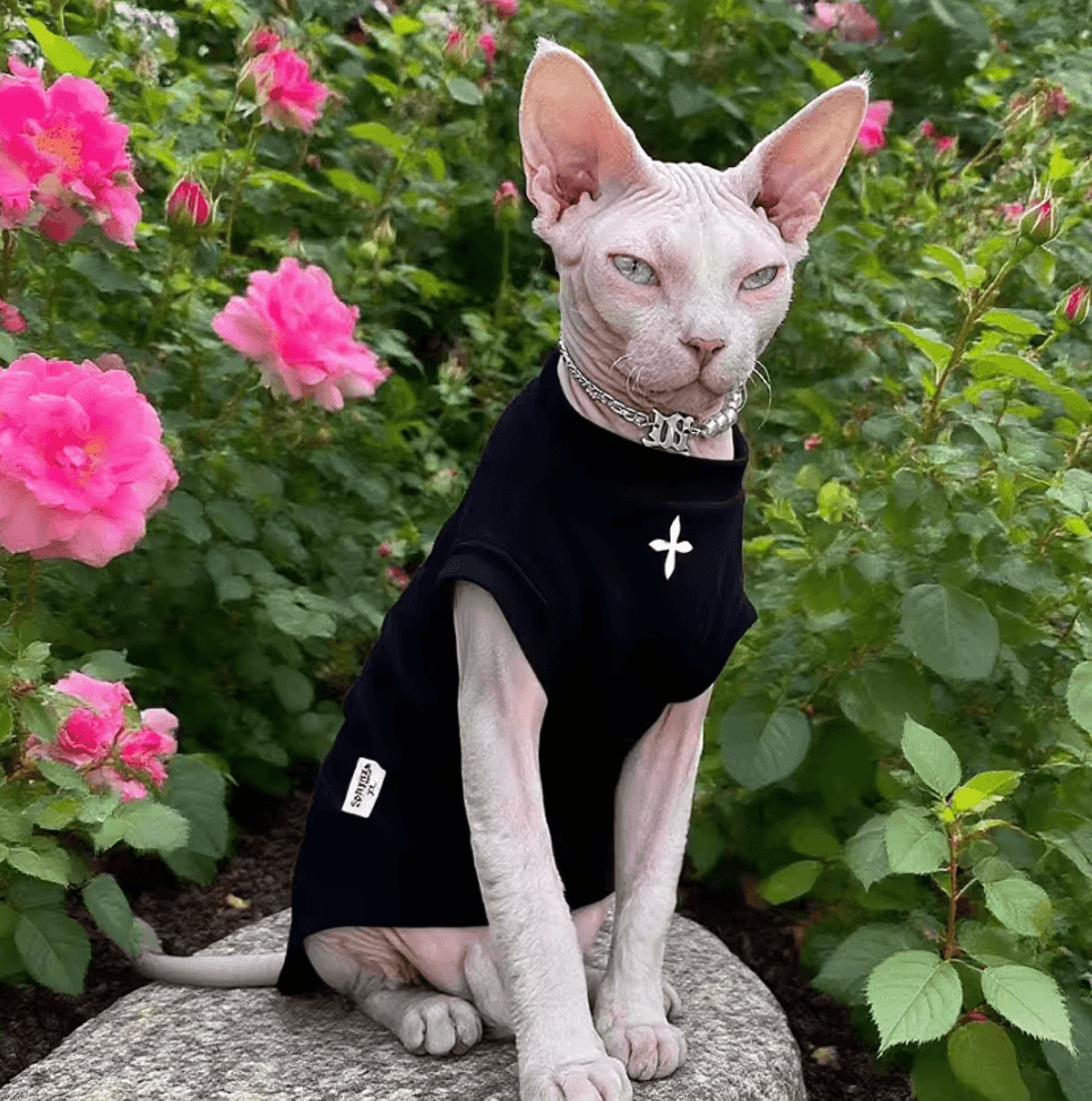midnightcozy cotton winter shirt for hairless cats