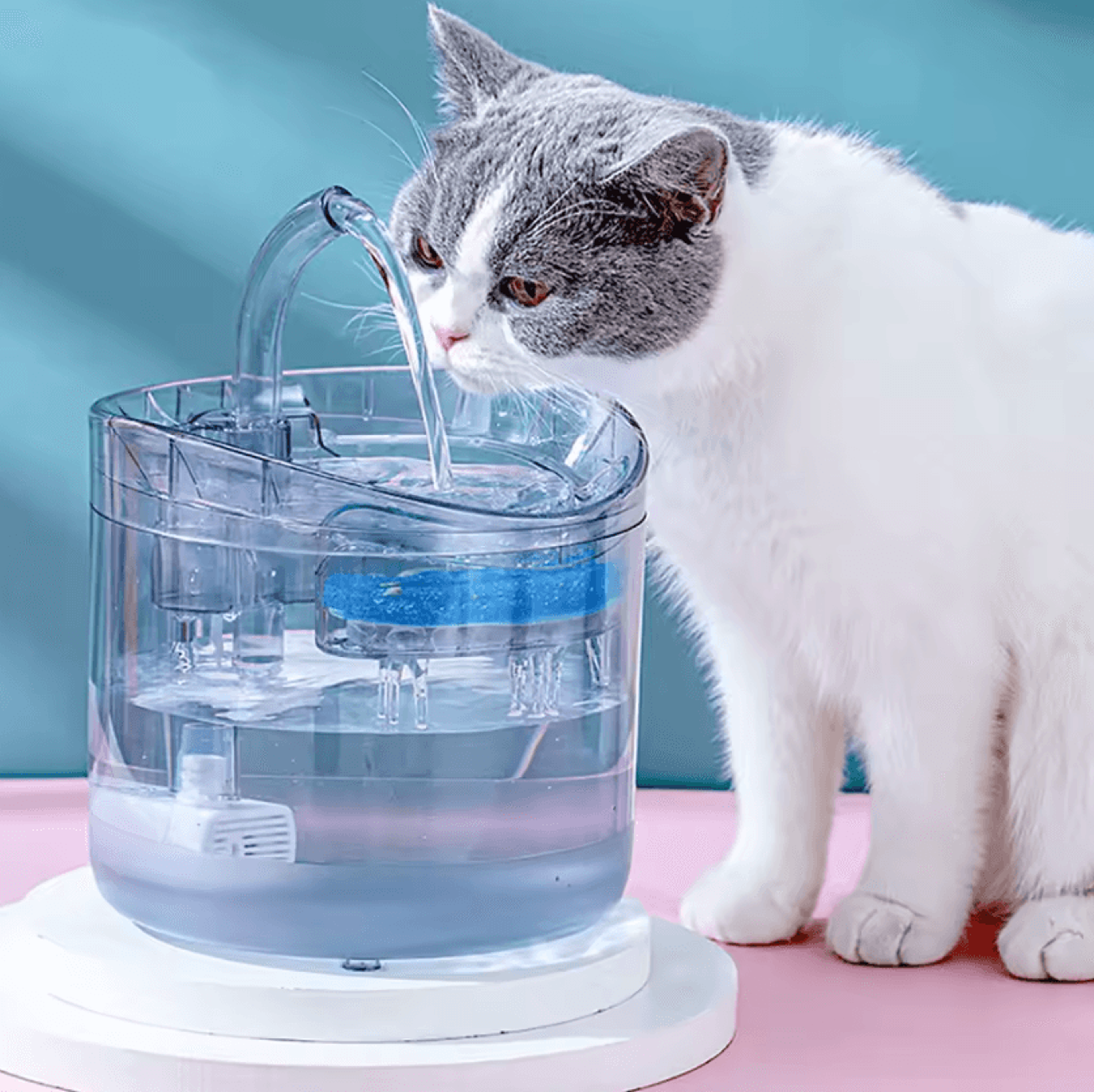 aquasense automatic sensor pet water fountain