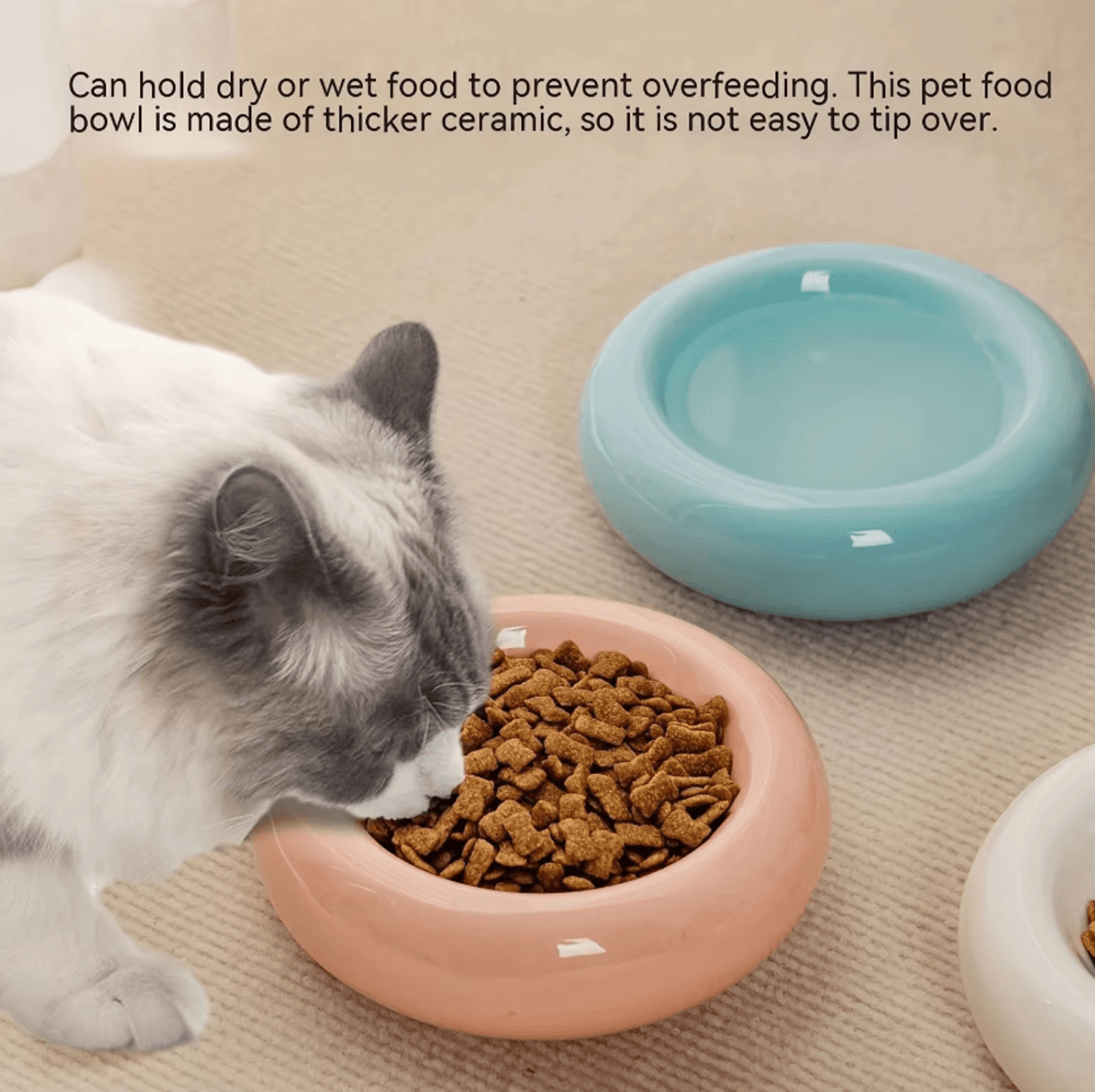 donutpaws ceramic cat food bowl