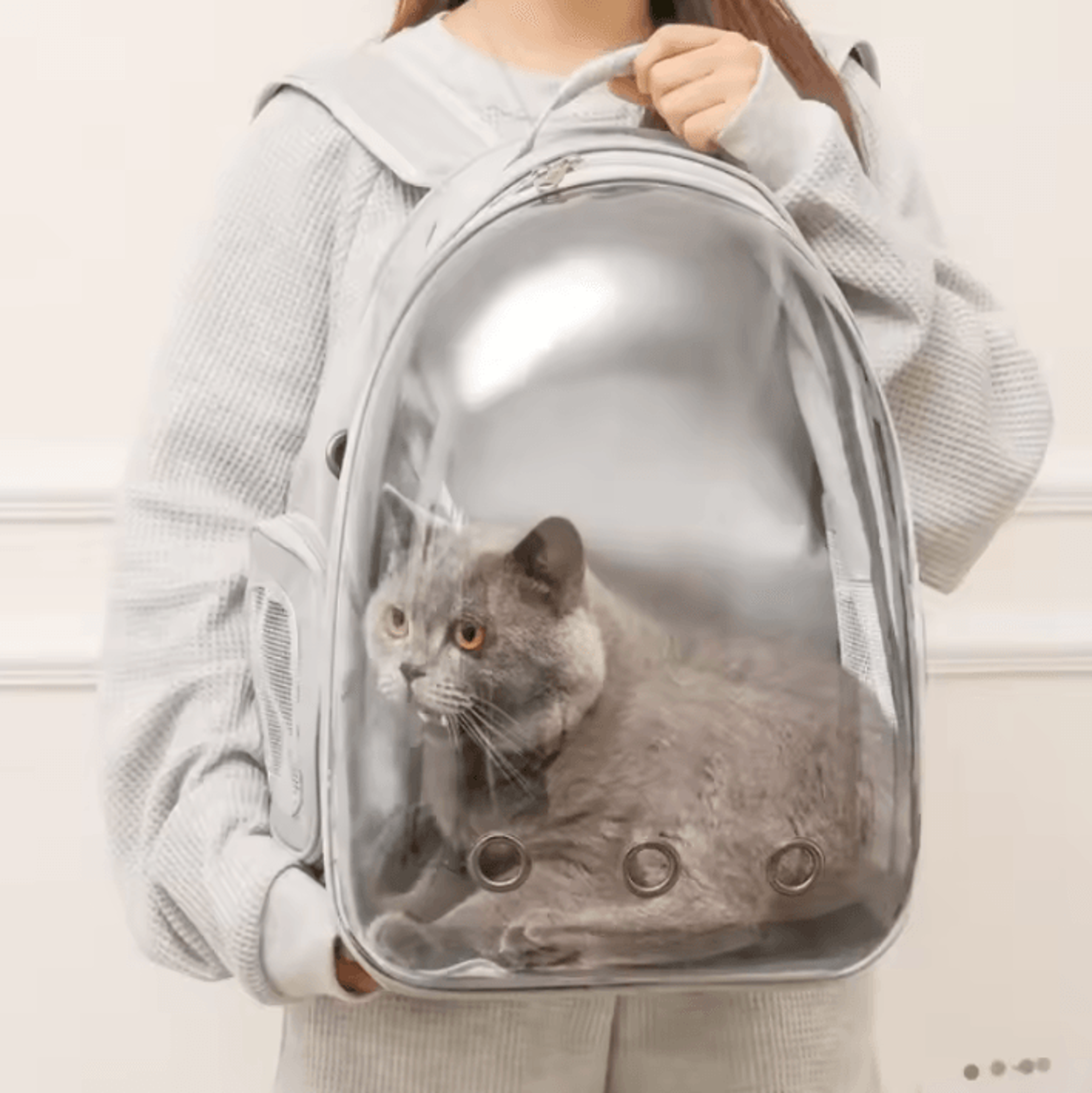 astropaw space capsule pet backpack carrier