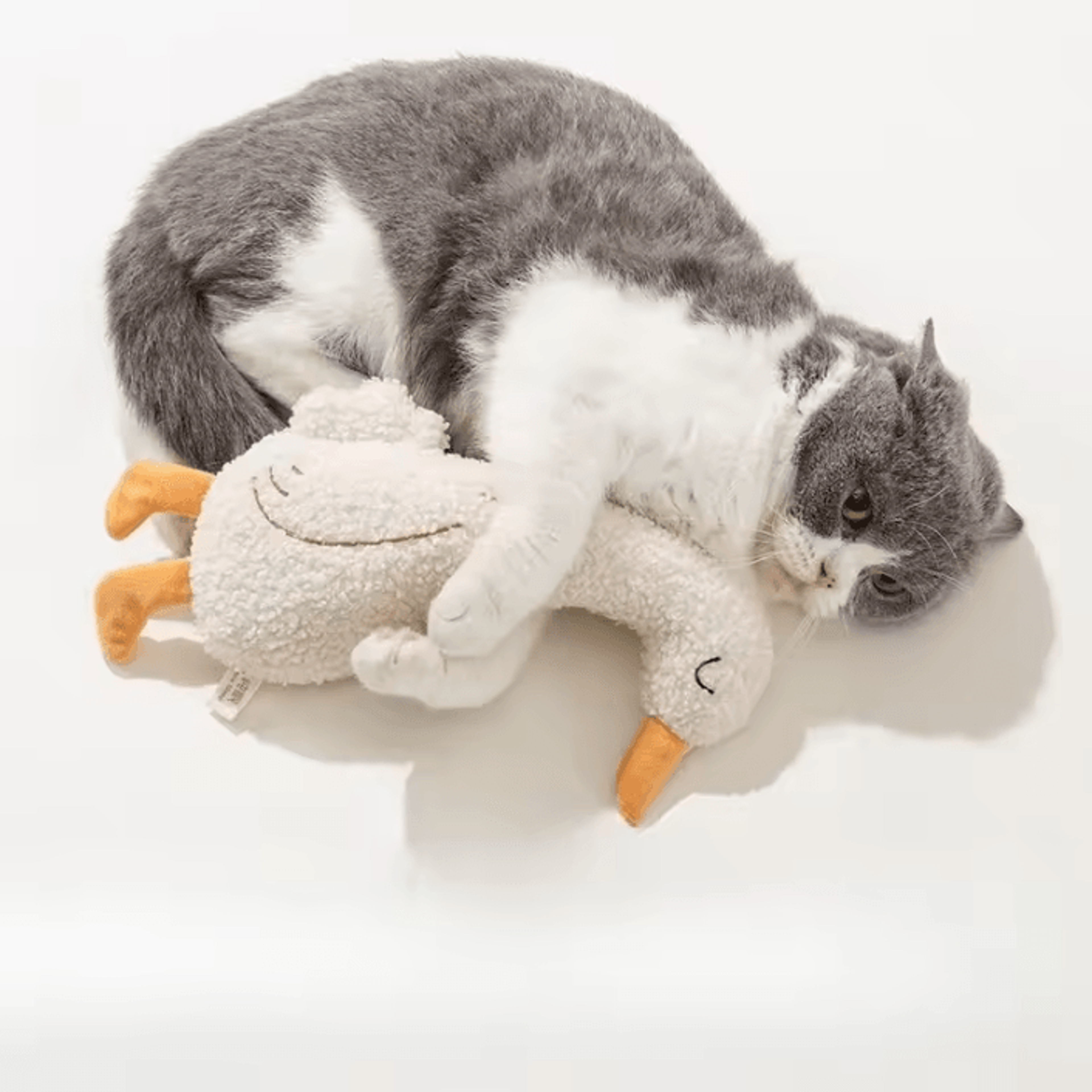 cozyhaven removable cat house bed