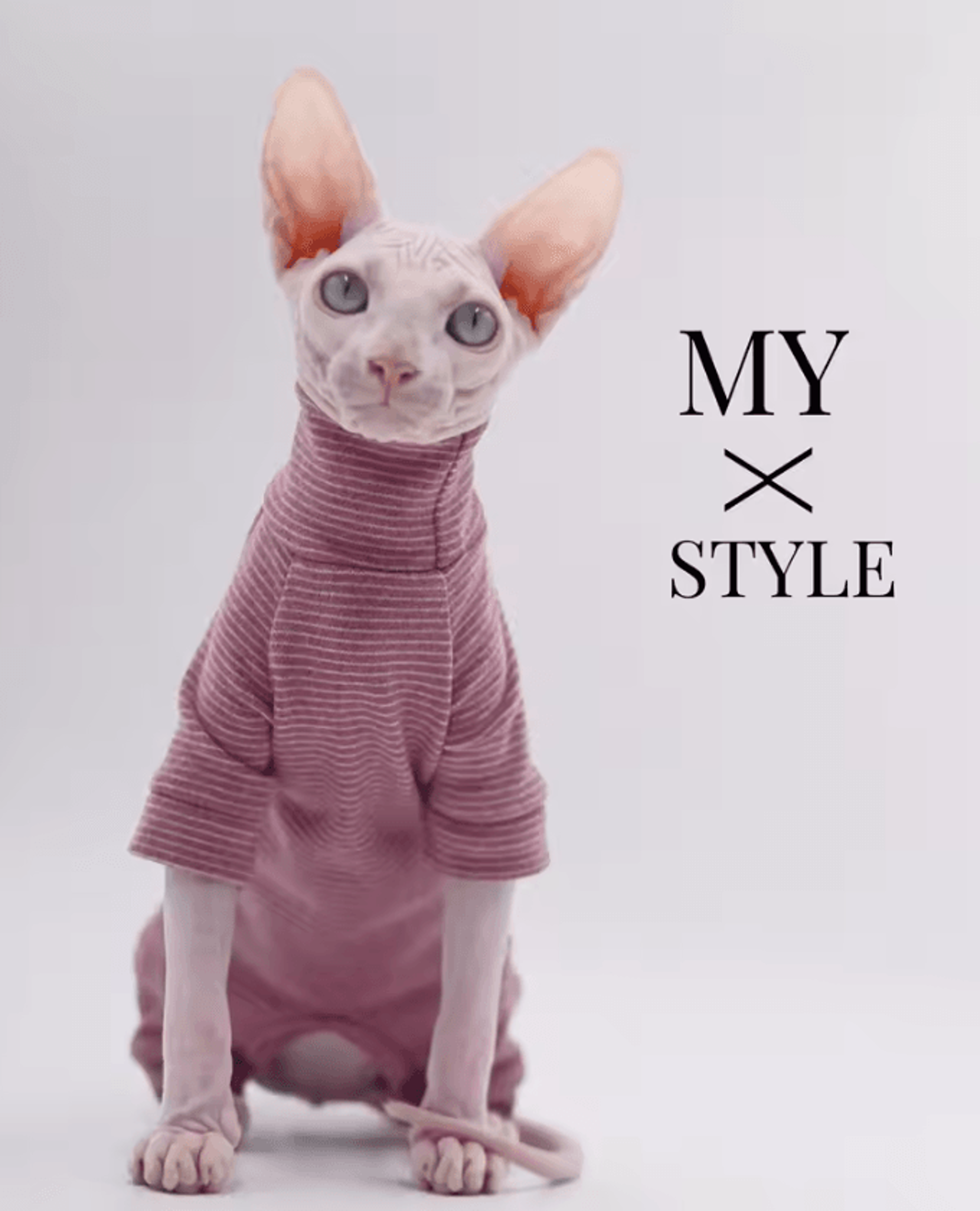 cozypaws four-legged hoodie for hairless cats