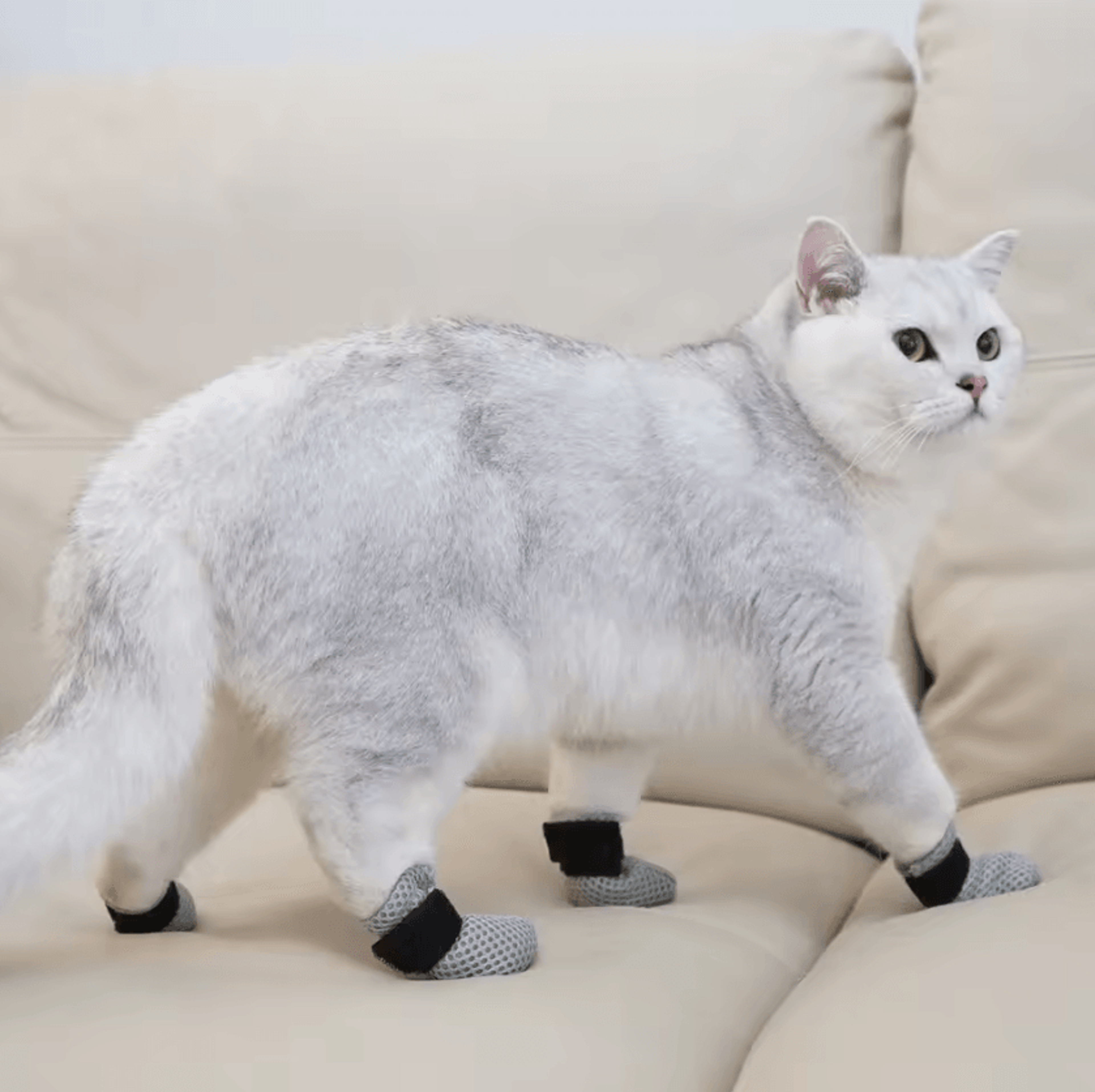 quietpaws anti-scratch cat socks & protective booties