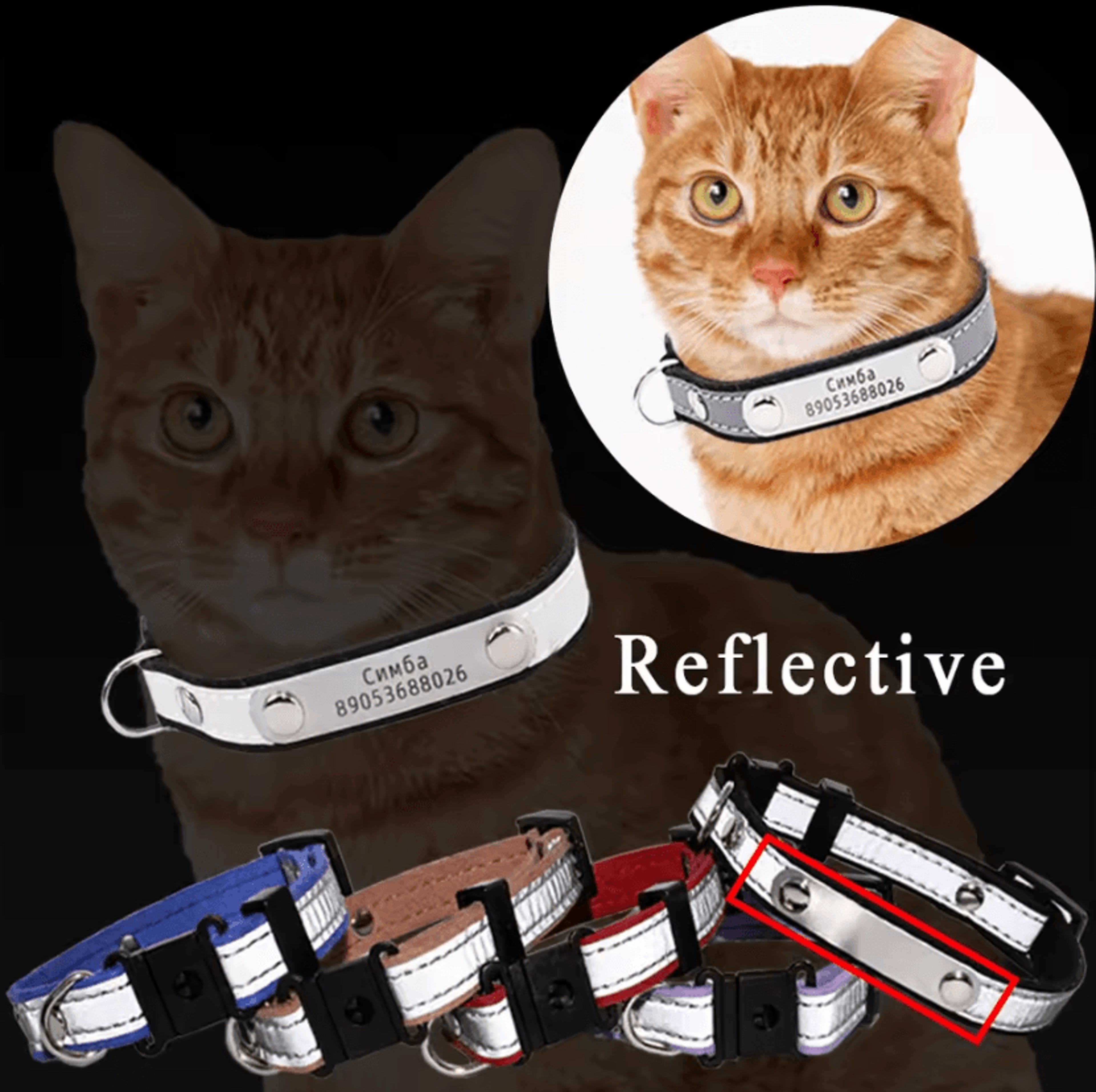 safeglow personalized reflective pet id collar