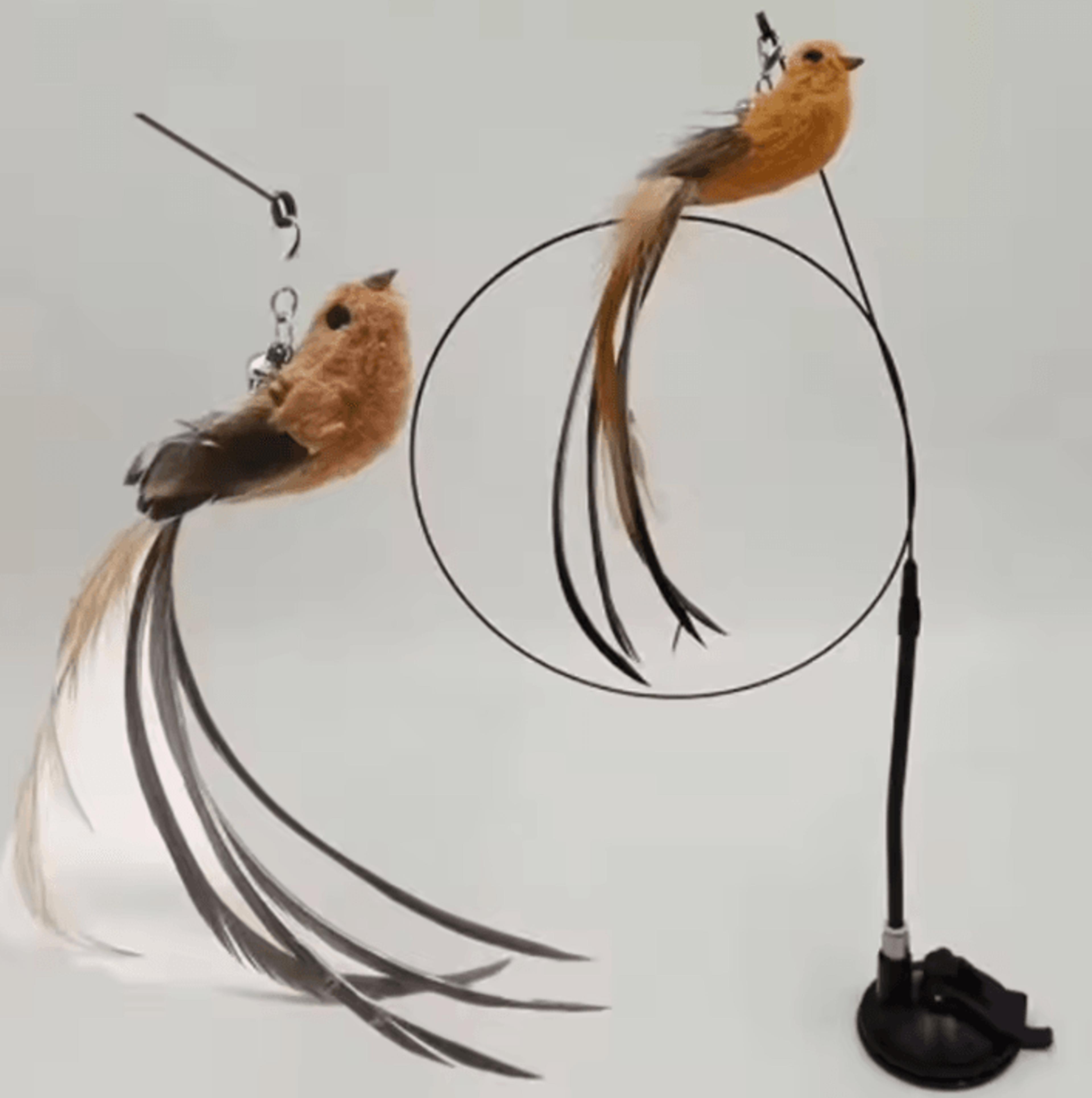 suction cup feather bird cat teaser toy
