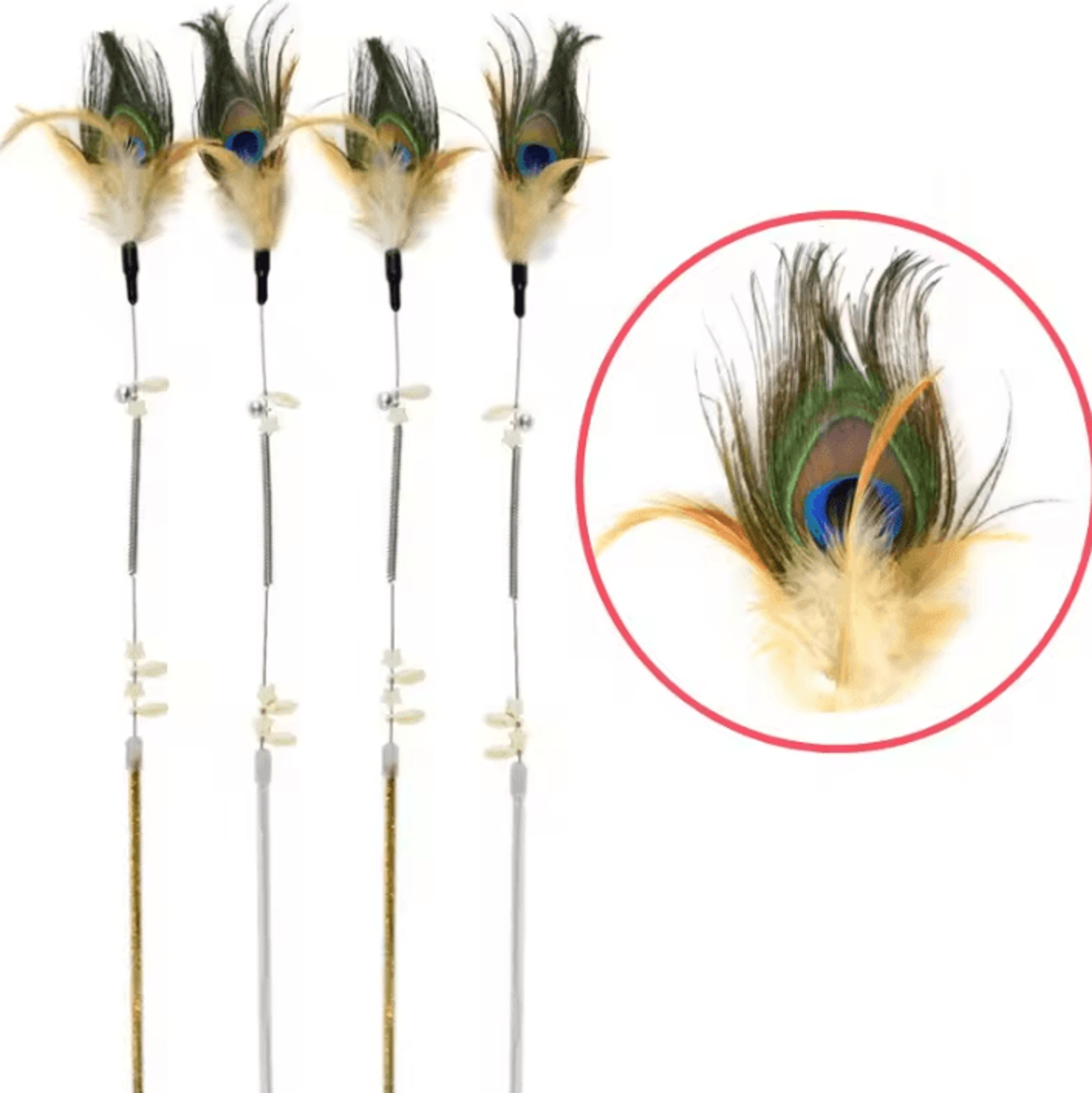 peacock feather interactive cat wand toy