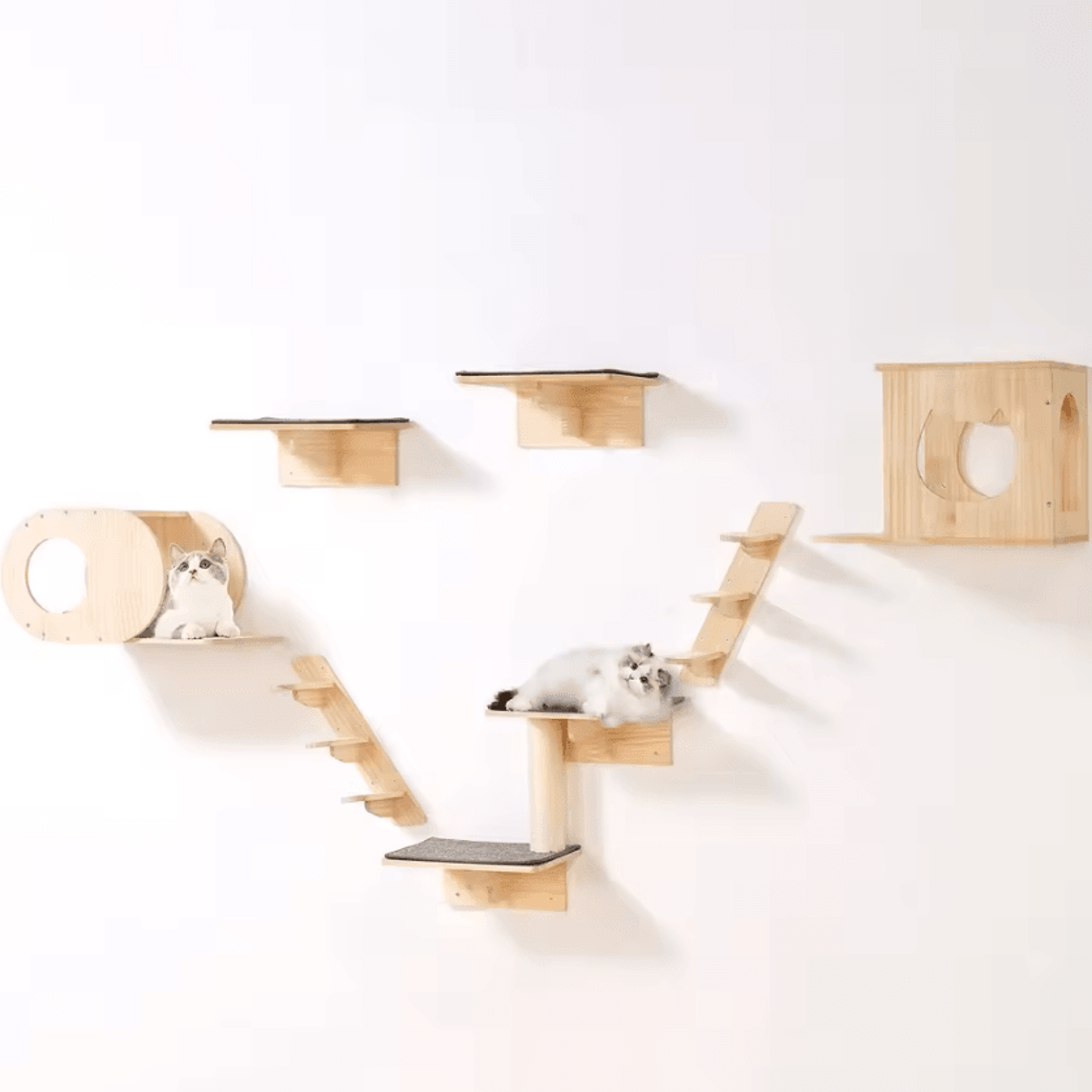 skyclimb wall-mounted cat shelves & hammock playground