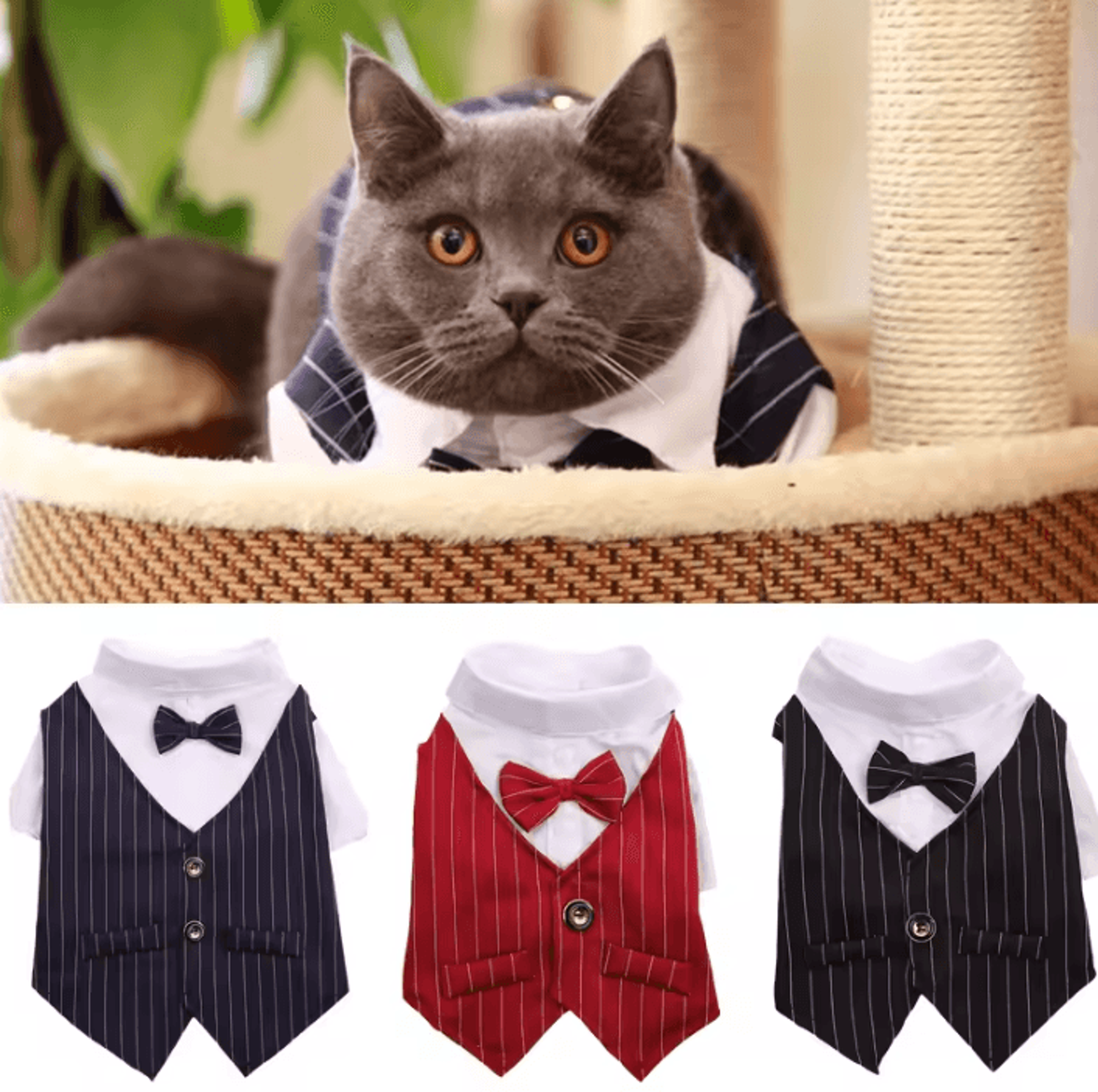 gentlepaw formal pet suit jacket