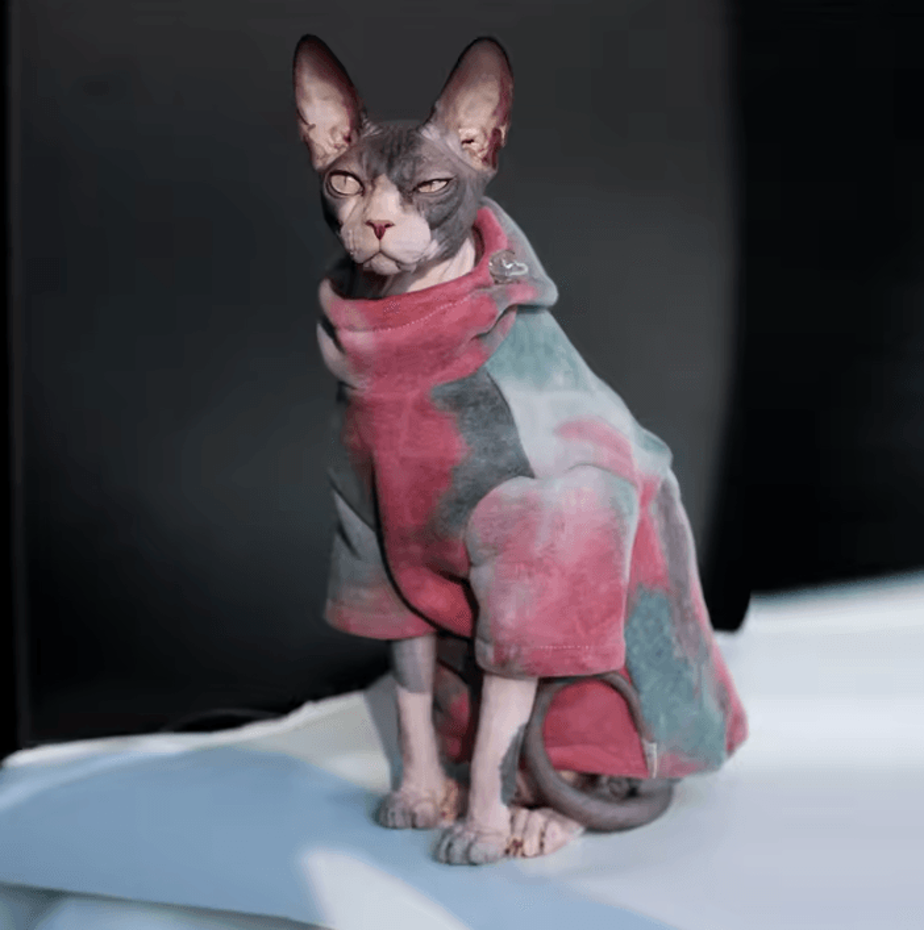 cozyguard fleece-lined sphynx cat hoodie