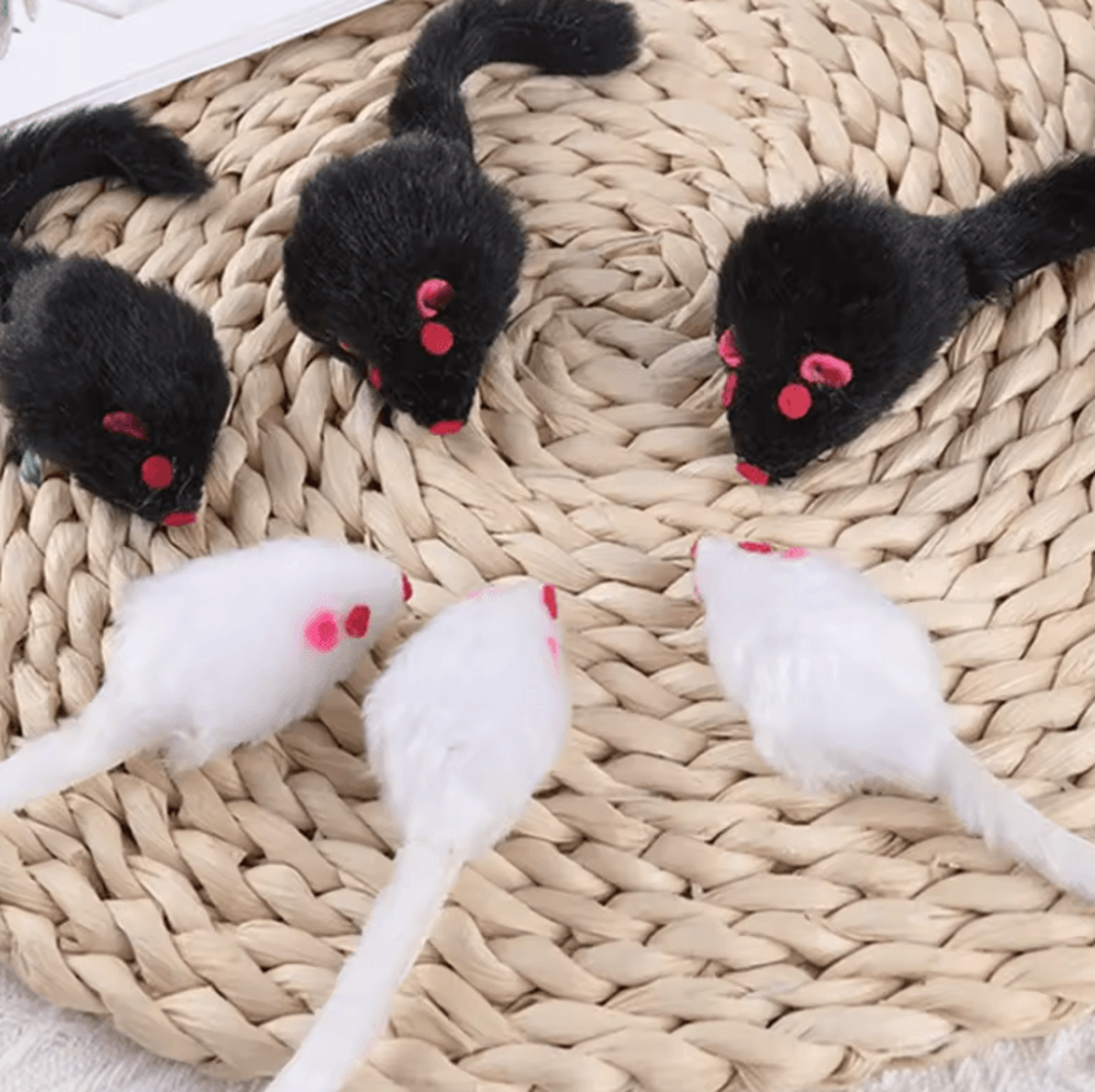 squeakymouse plush interactive cat toy