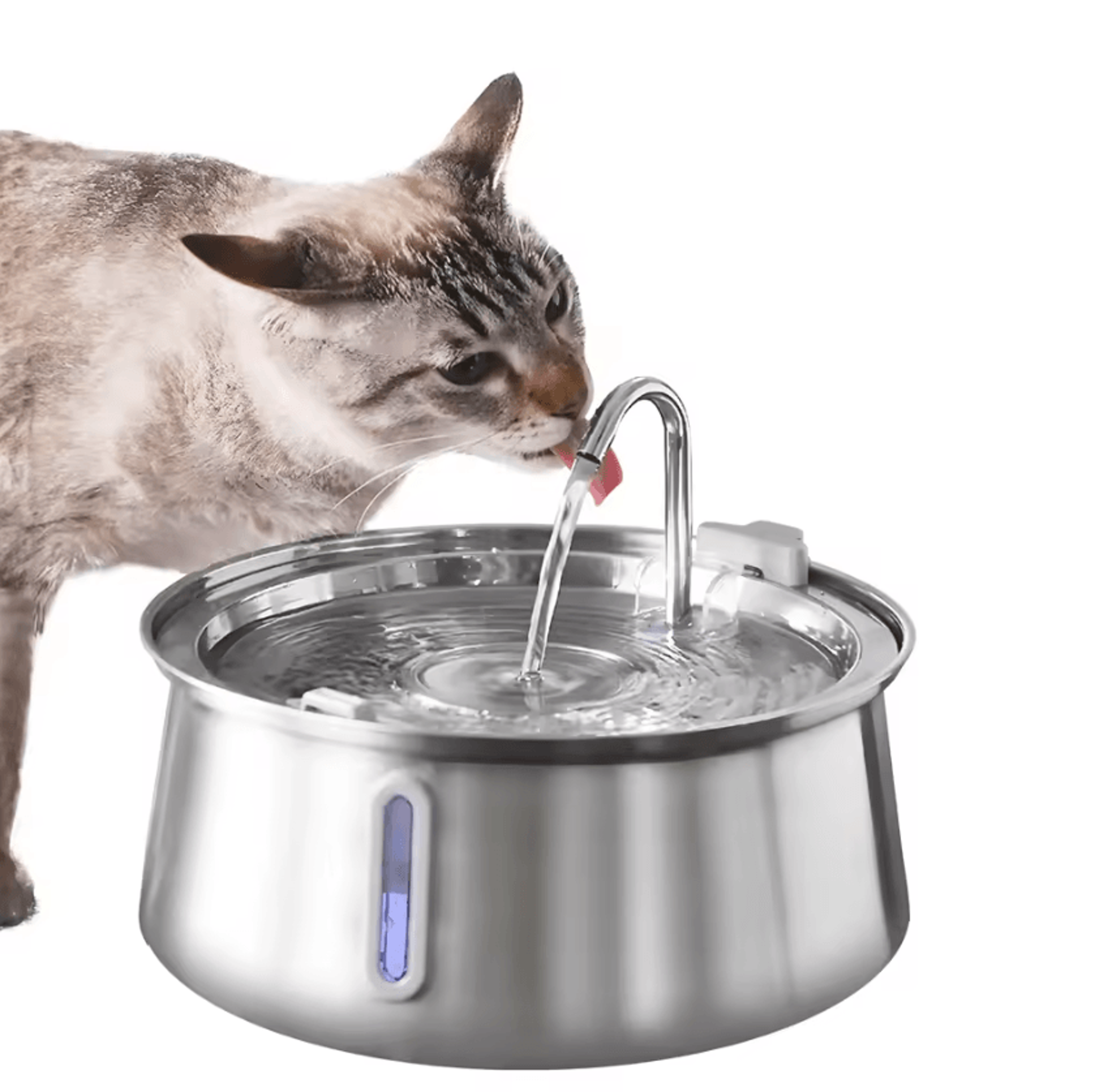 aquapure 4l stainless steel pets water fountain