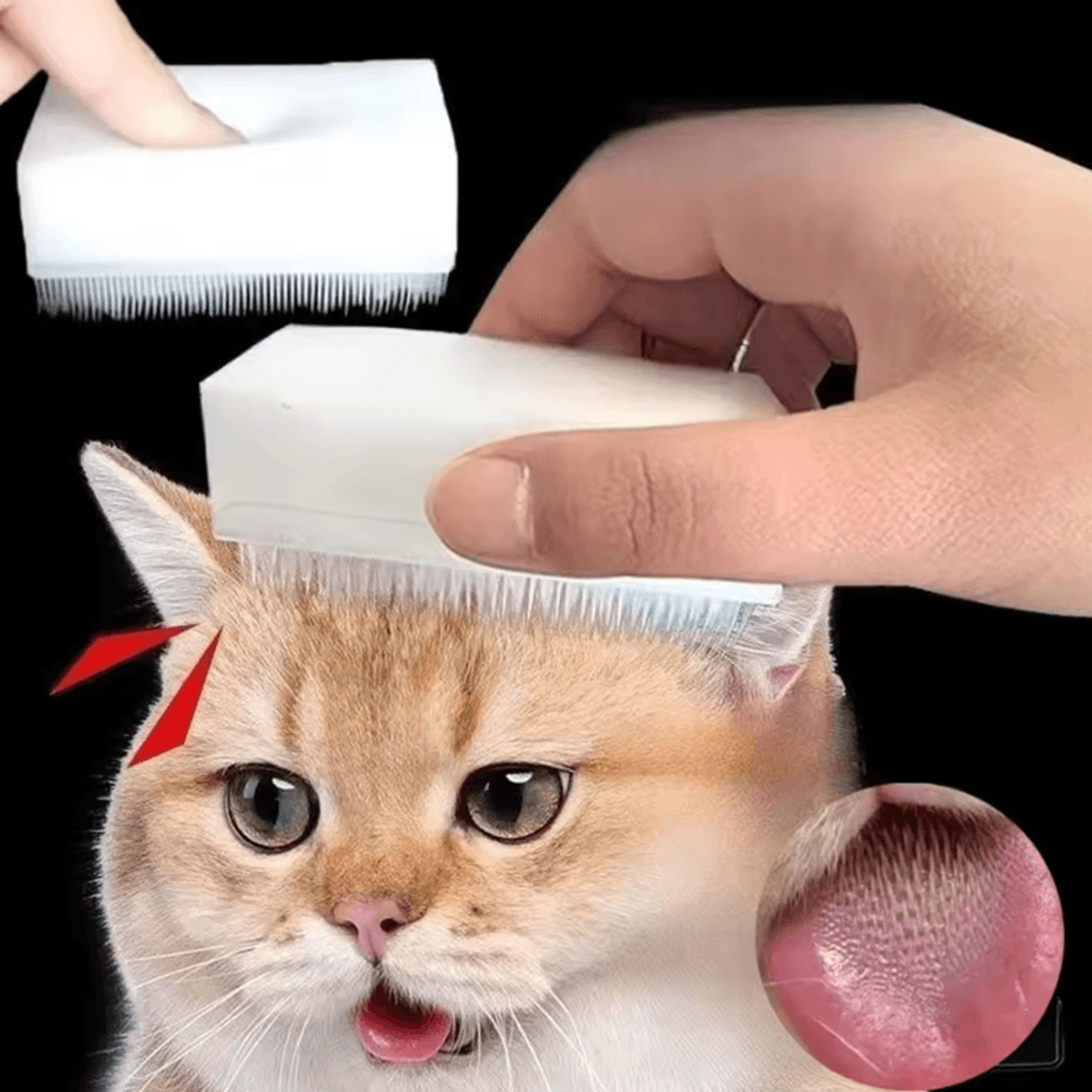 purrgroom cat tongue massage brush