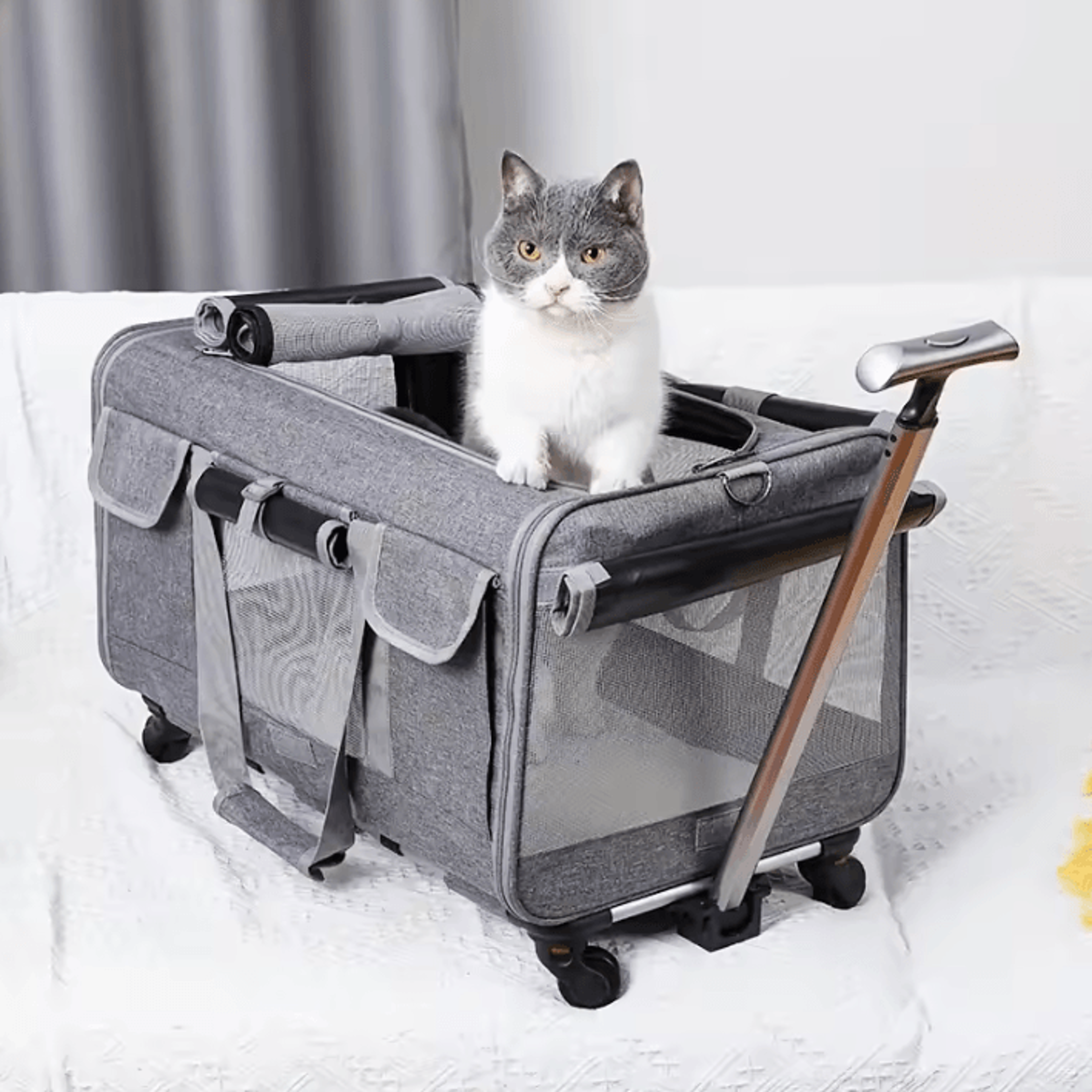 roverroll extra-large pet travel trolley carrier
