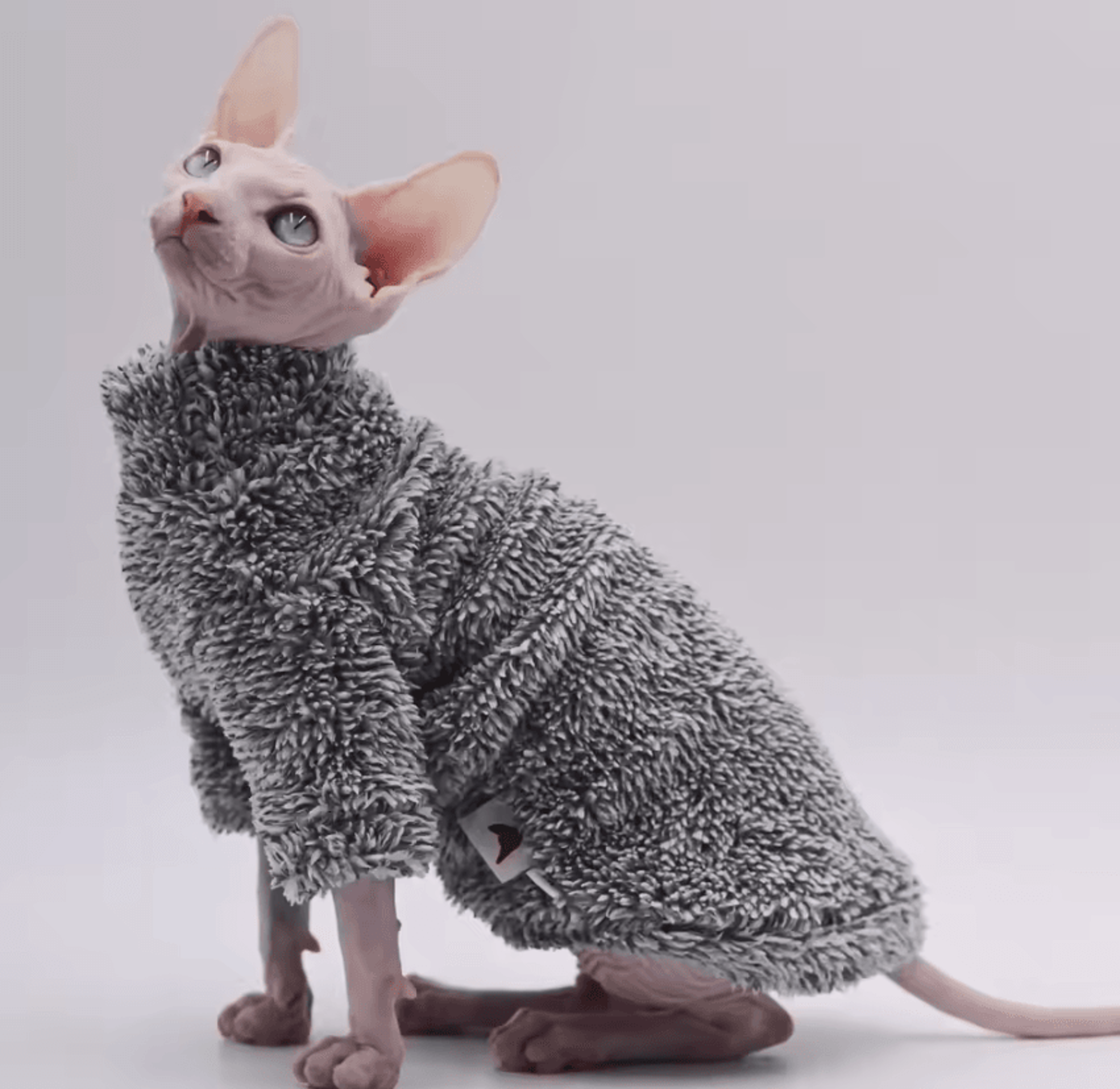 arcticpaws double-sided winter coat for sphynx cats